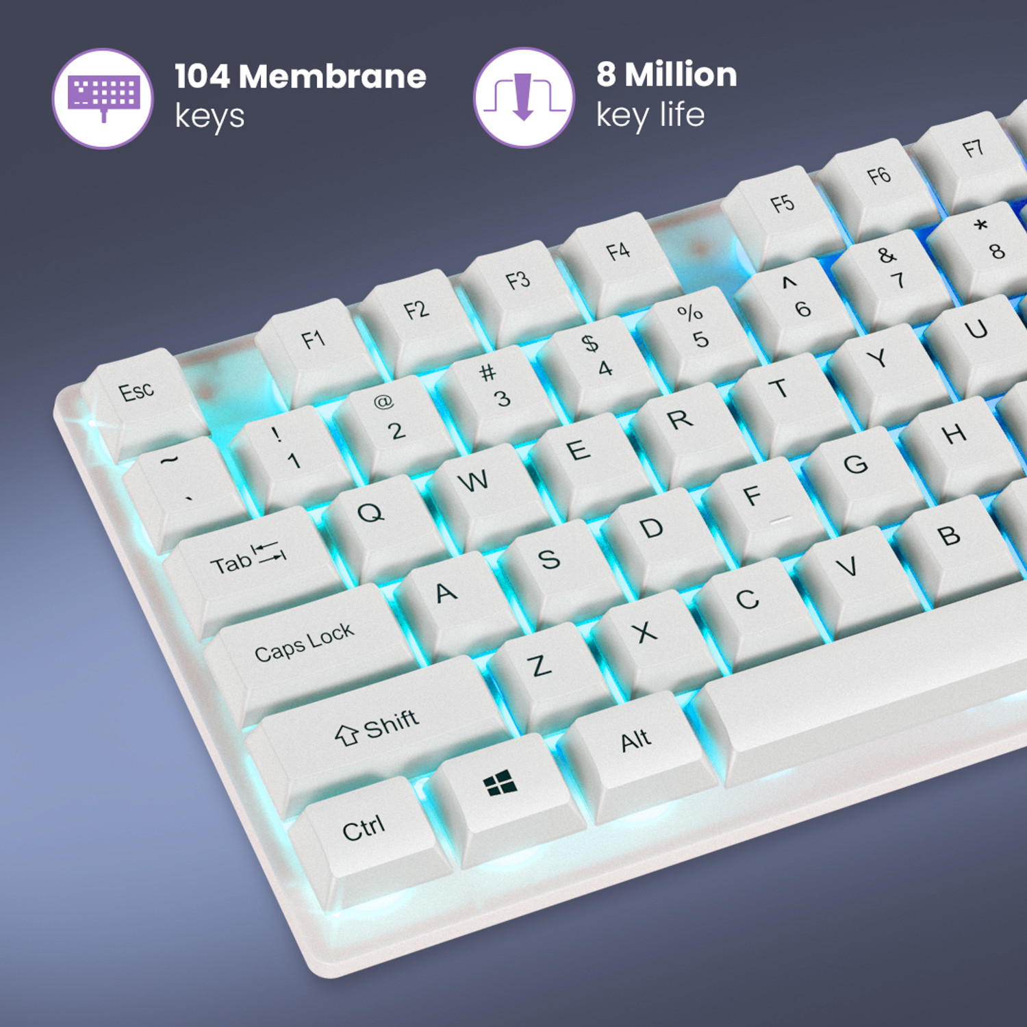 Image of LAPCARE LGC-213 Wired USB Standard Desktop Keyboard Compatible with Desktop, Laptop