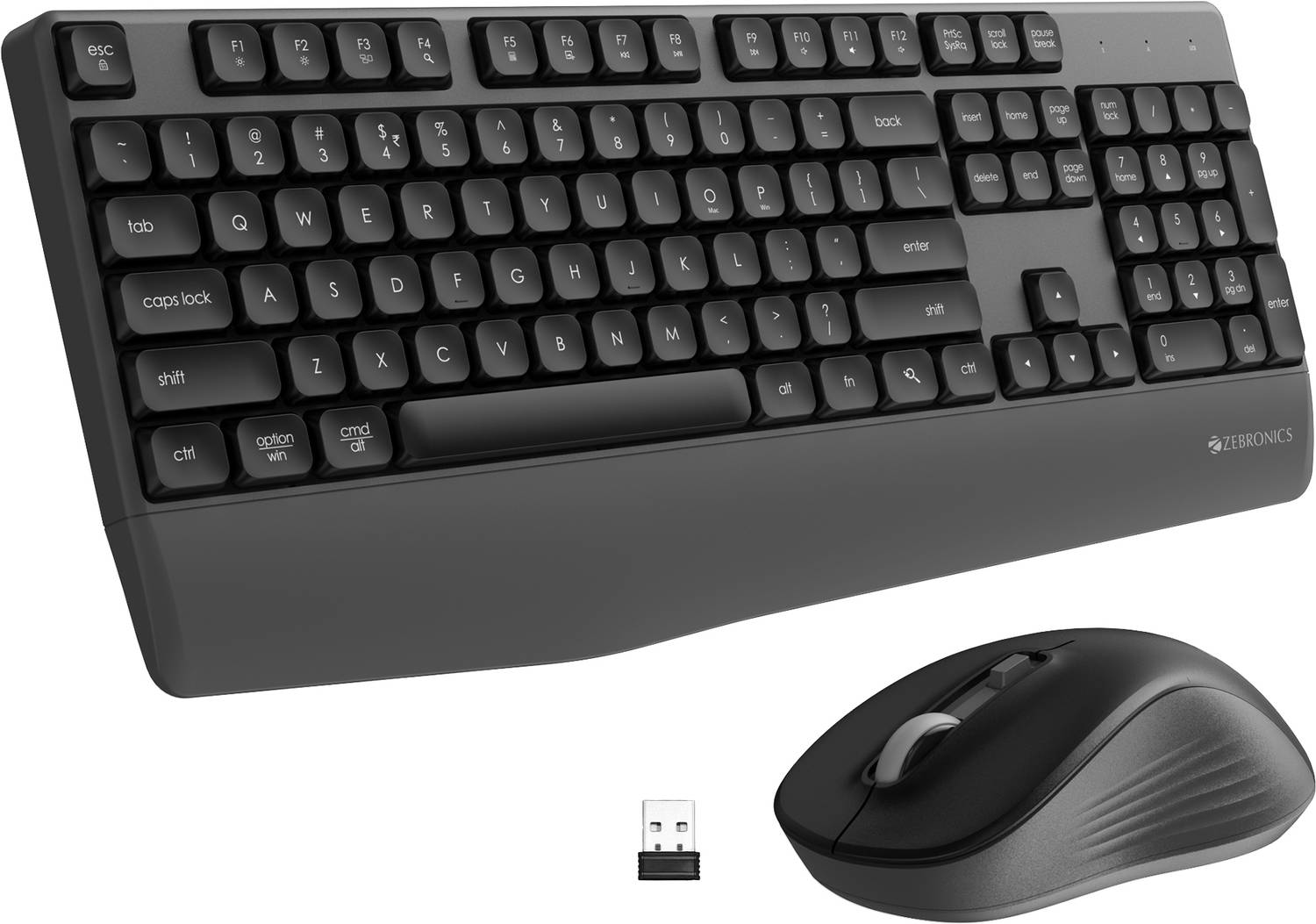 ZEBRONICS Companion 202 Wireless Standard Desktop Keyboard Compat