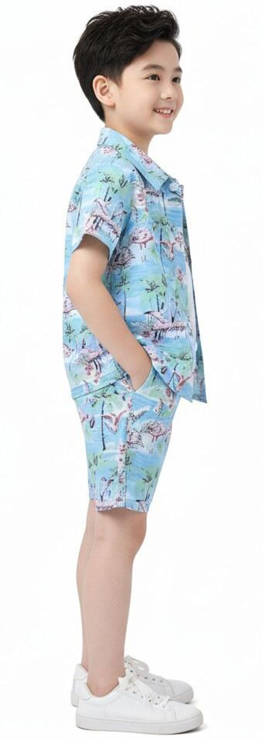 Image of mitari Baby Boys Party(Festive) Shirt Shirt, Shorts