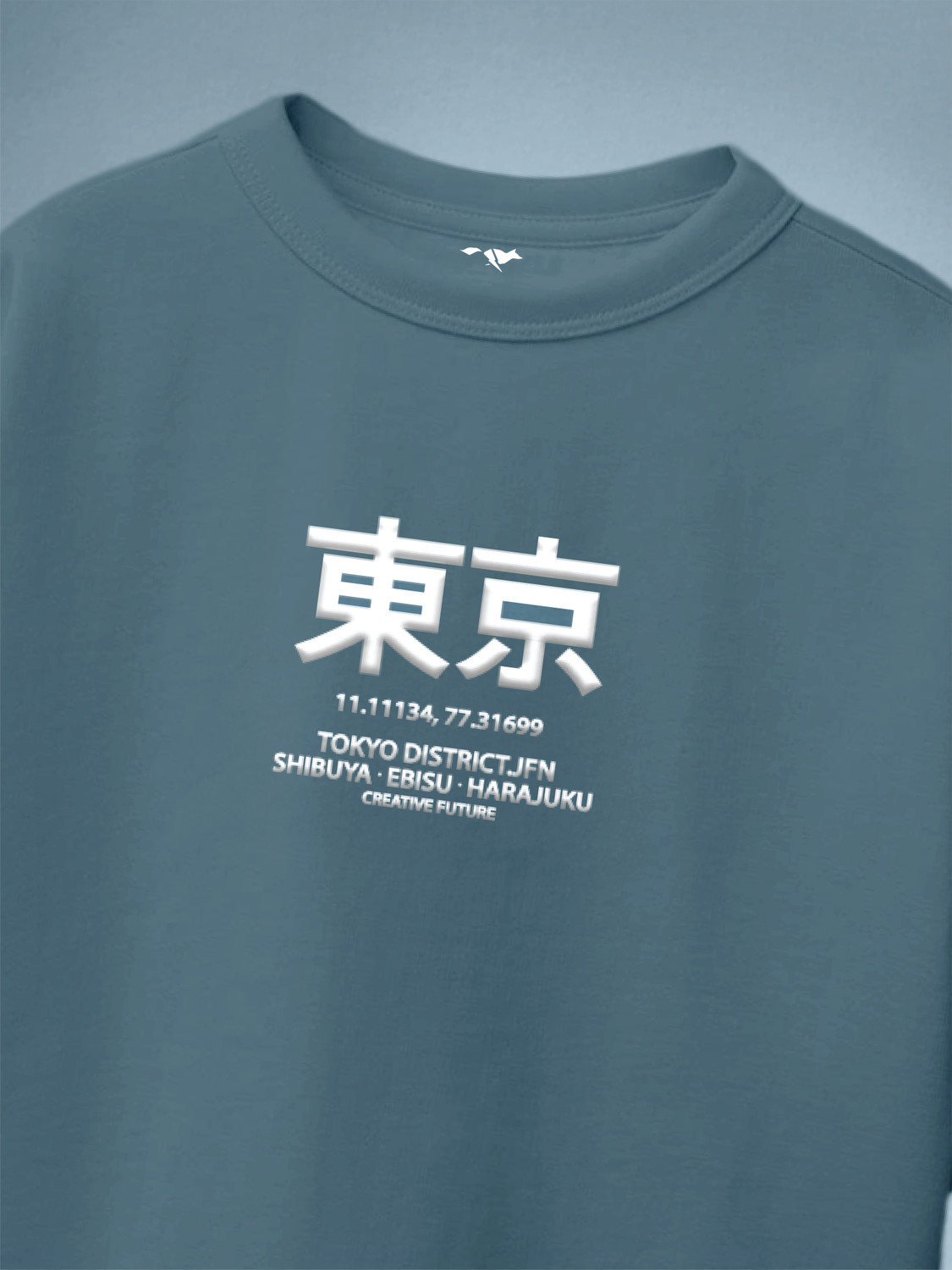 Image of FROSEN FOX Boys Graphic Print Pure Cotton Oversized T Shirt