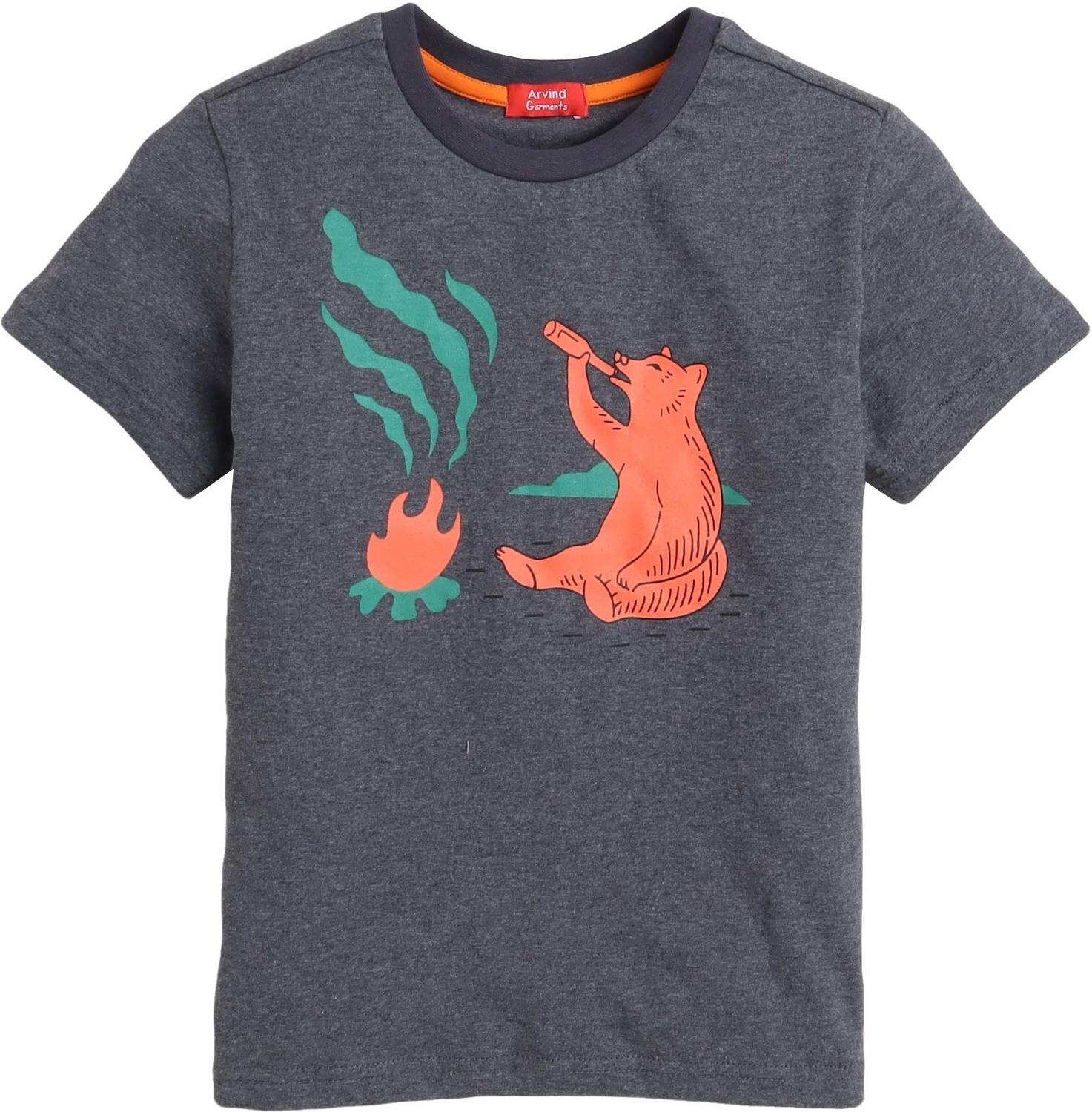 Arvind Garments Boys Printed Pure Cotton Regular T Shirt
