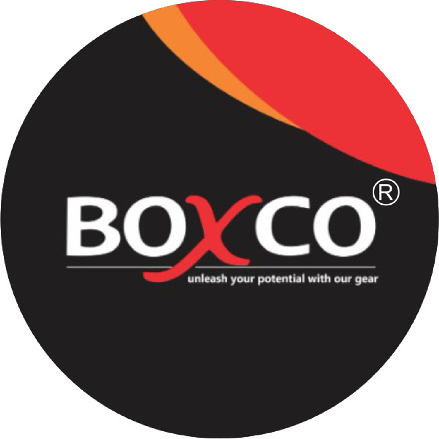 Image of BOXCO Strike Leather Cricket Ball - Consturction Four Piece, Ideal for 20 Overs Cricket Leather Ball (Standard, Pack of 1, White)