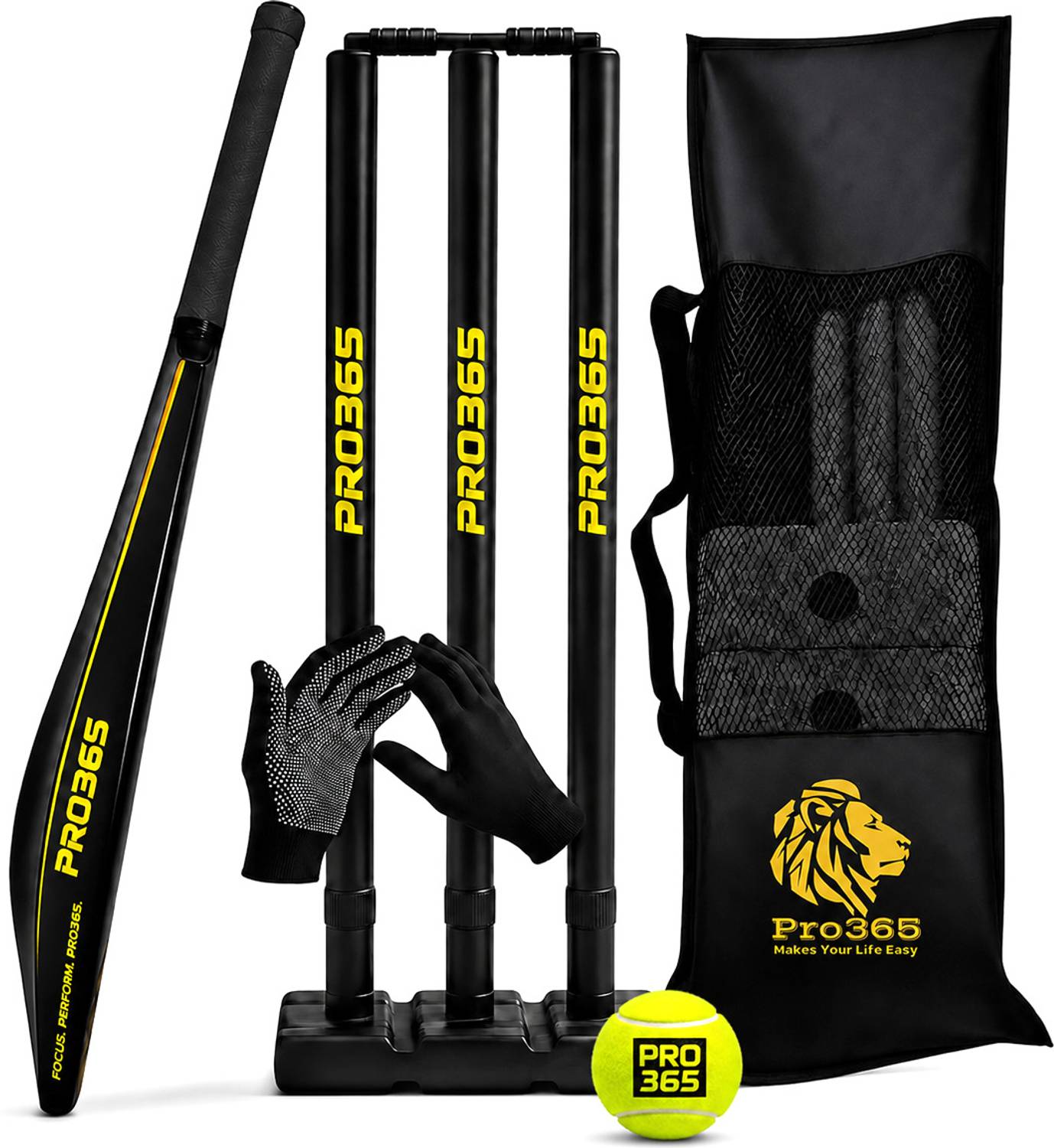 PRO365 Complete Cricket Kit for Kids & Adults Cricket Kit Rs. 728 - Flipkart