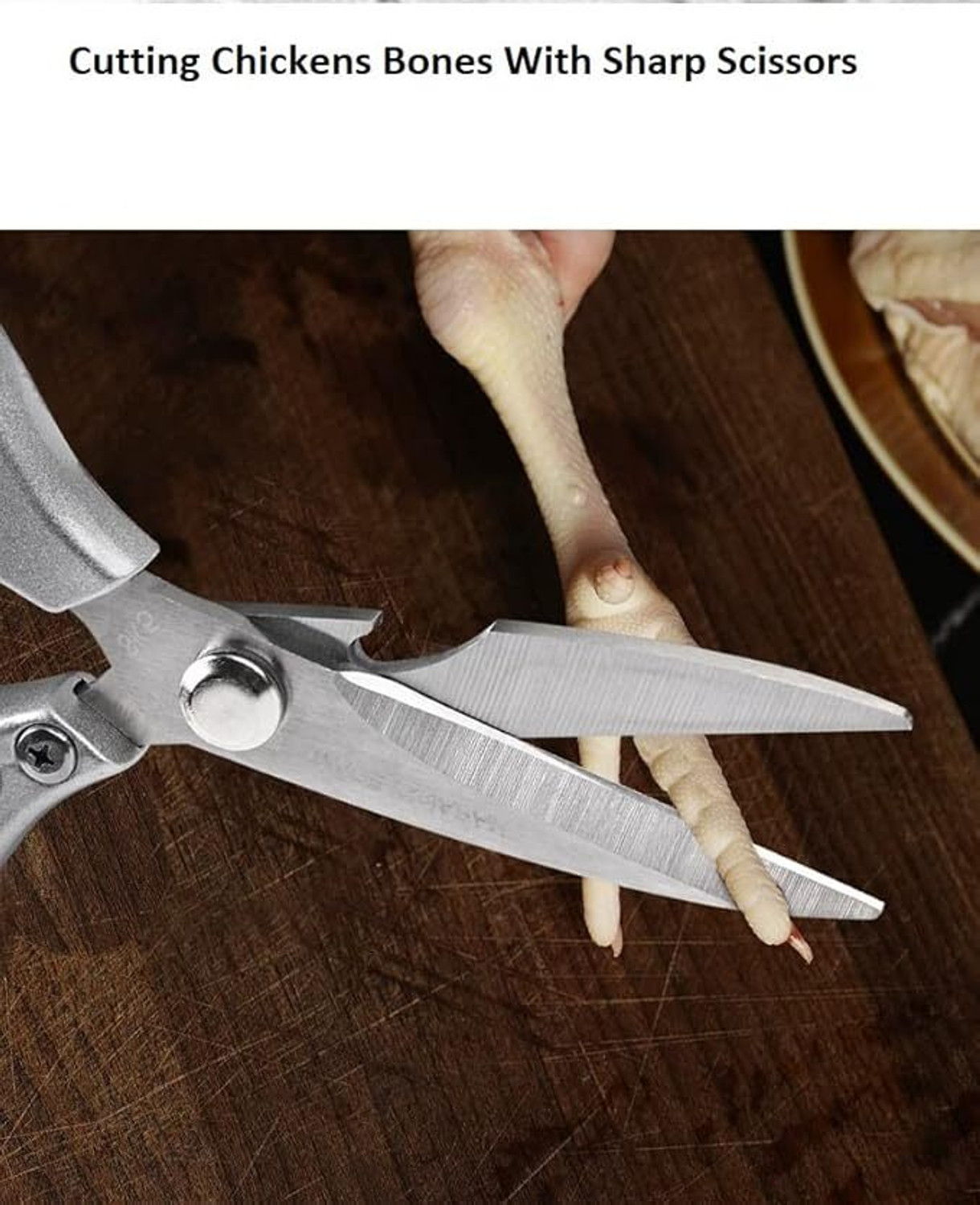 Image of homken Multipurpose Stainless Steel Kitchen Scissors for Meat, Chicken & Fish Stainless Steel All-Purpose Scissor