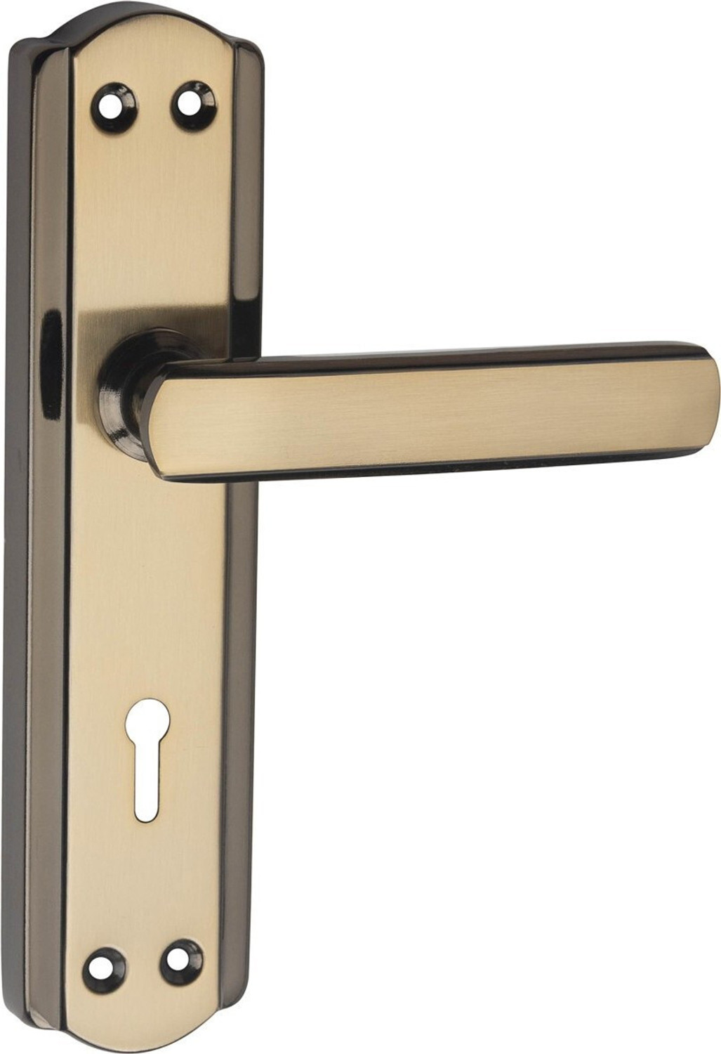 Image of ProHard Iron Door Handle
