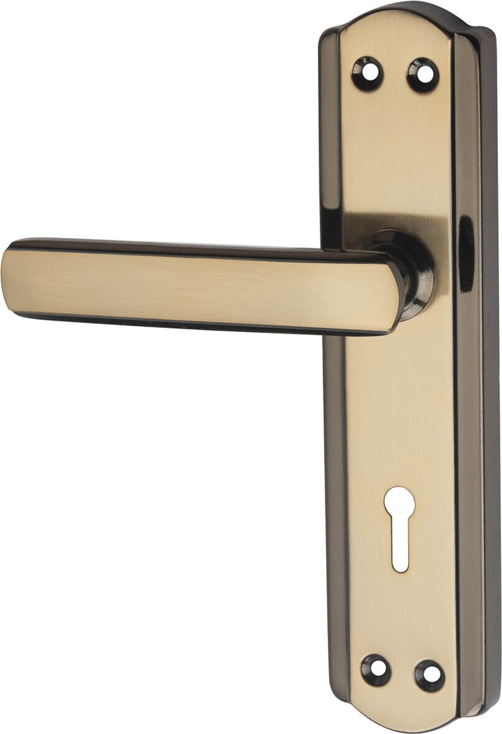 Image of ProHard Iron Door Handle