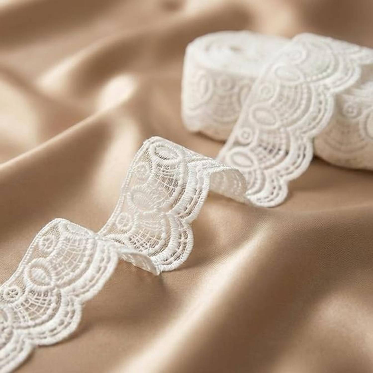 gfashion White Scalloped Lace, Decorative Embroidered Ribbon with Sequence, 10 Meter Pack Lace Reel