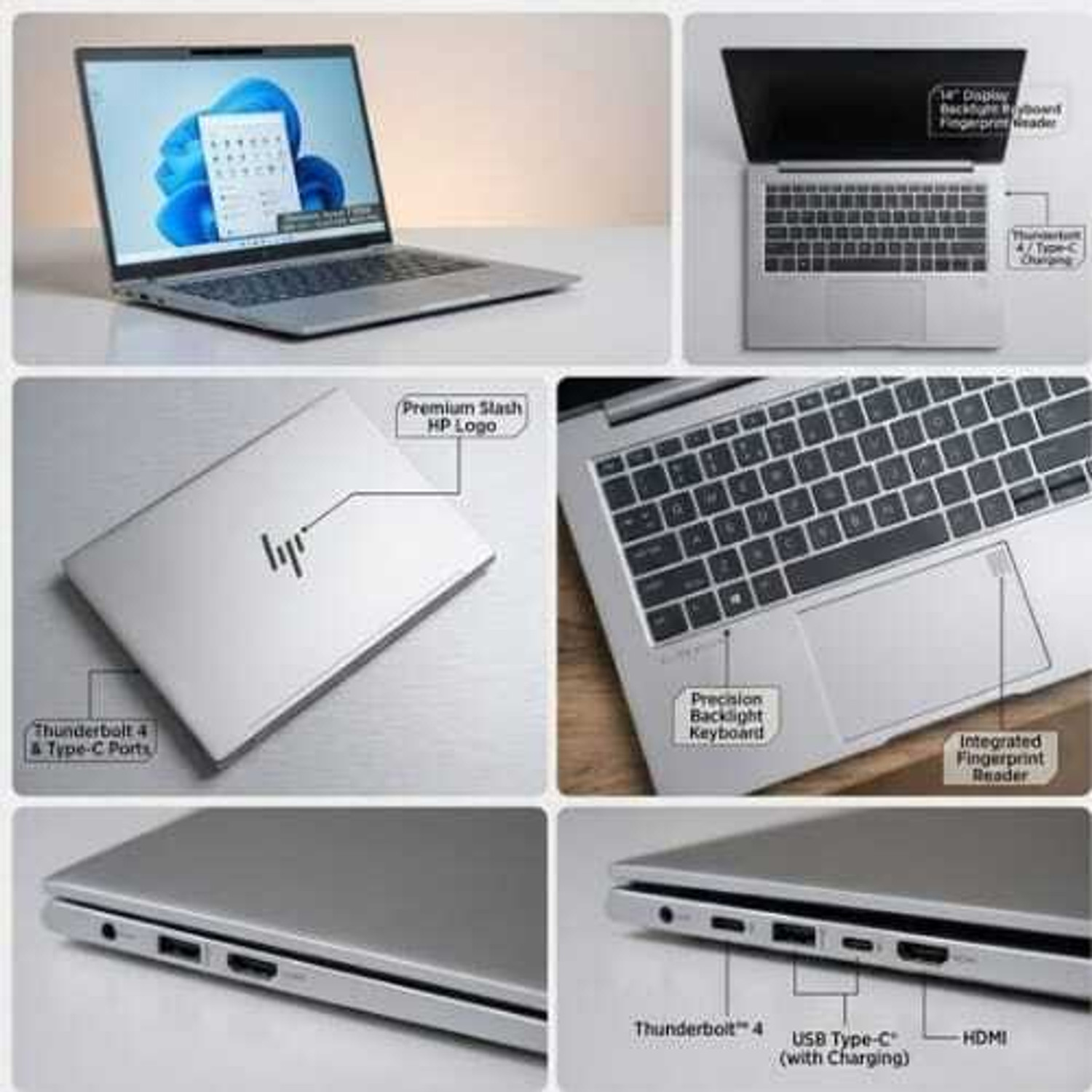 Image of HP AMD Ryzen 5 - (8 GB /512 GB SSD /32 GB EMMC Storage /Windows 11 Pro /16 GB Graphics) B25U6AT Thin and Light Laptop