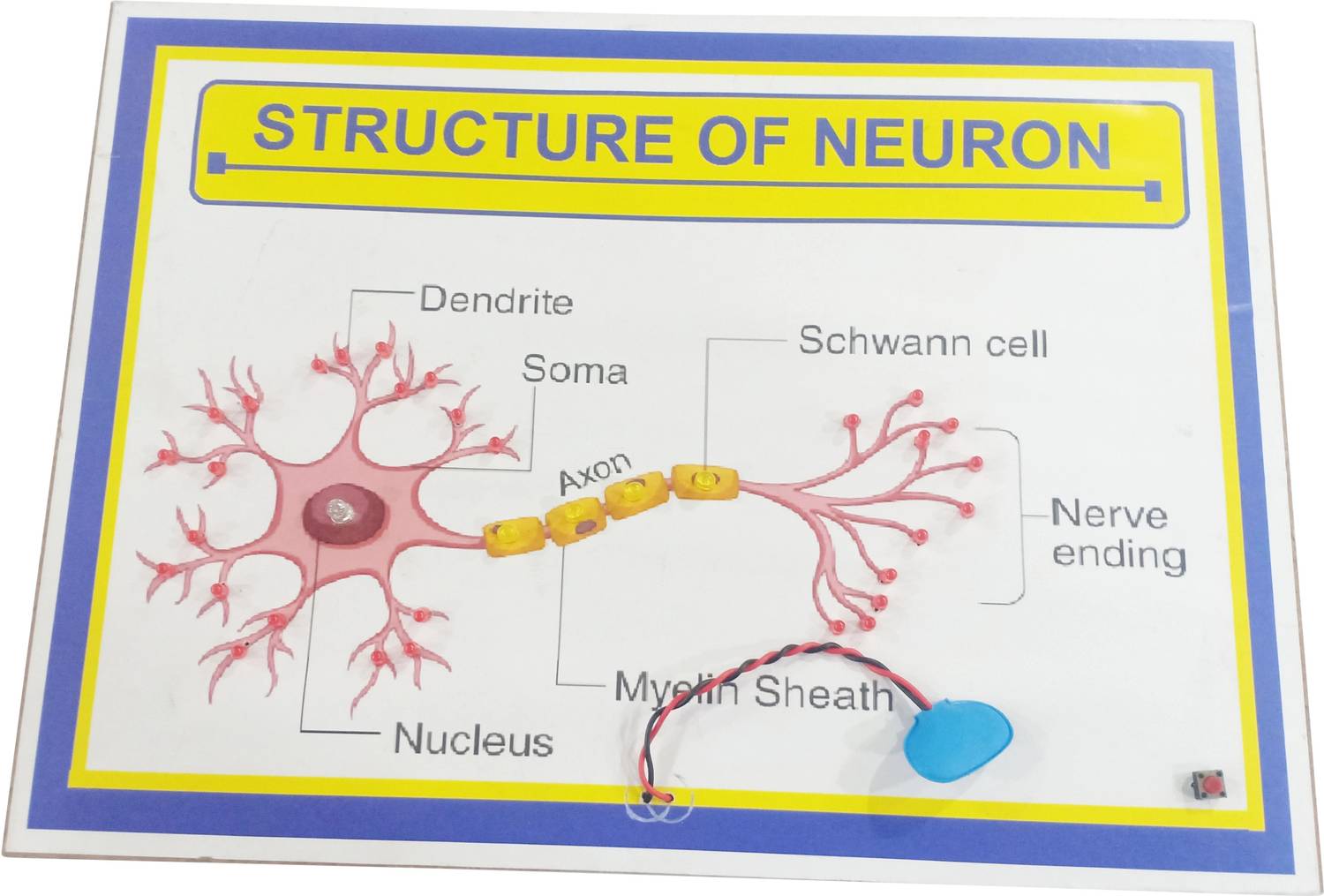 Neuron Project