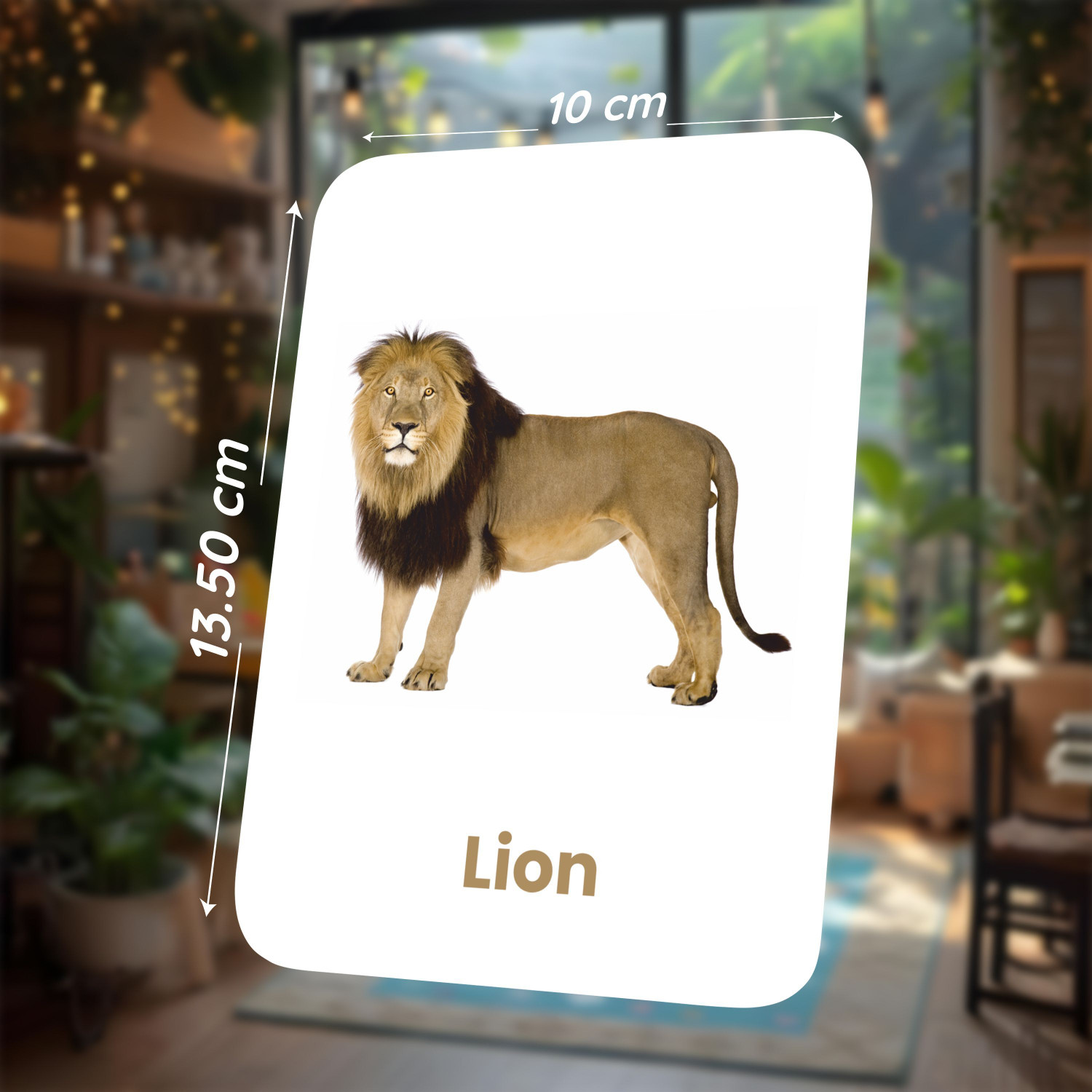 Image of spartan kids Animal Flash Cards for Kids | 27 Early Learning Flash Cards for Kids