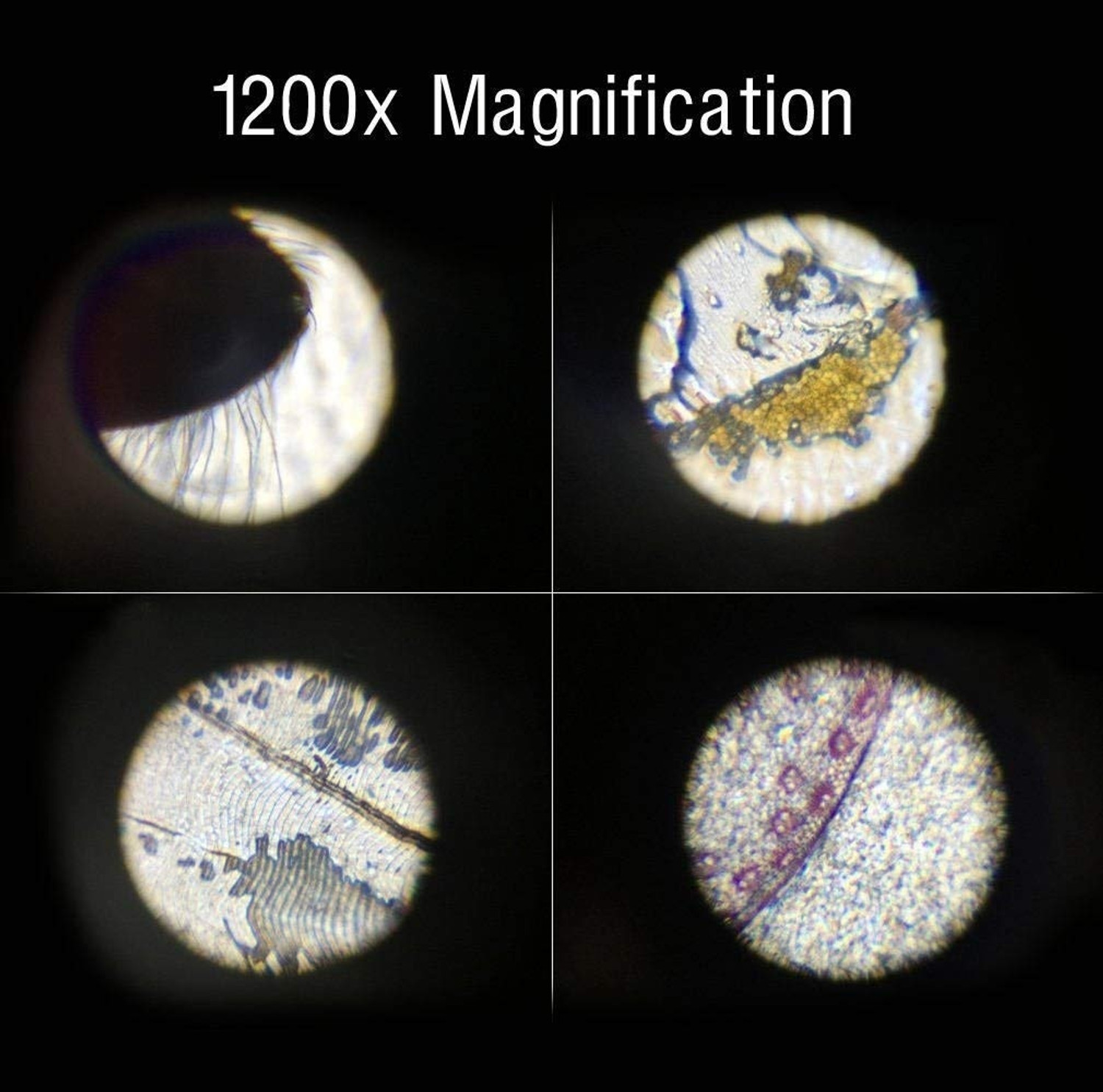 Image of Zuuluzrs Science Kits with Microscope Kit LED 100X 400X and 1200X Magnification LIMITED