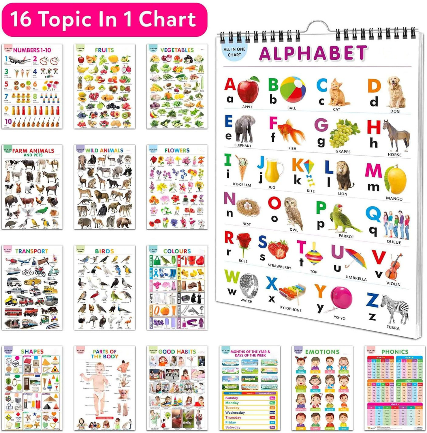 Image of GAMLOID Best Buy English Chart For Kids 36 x 50 cm - Children Spiral Wall Picture Chart (Multicolor)