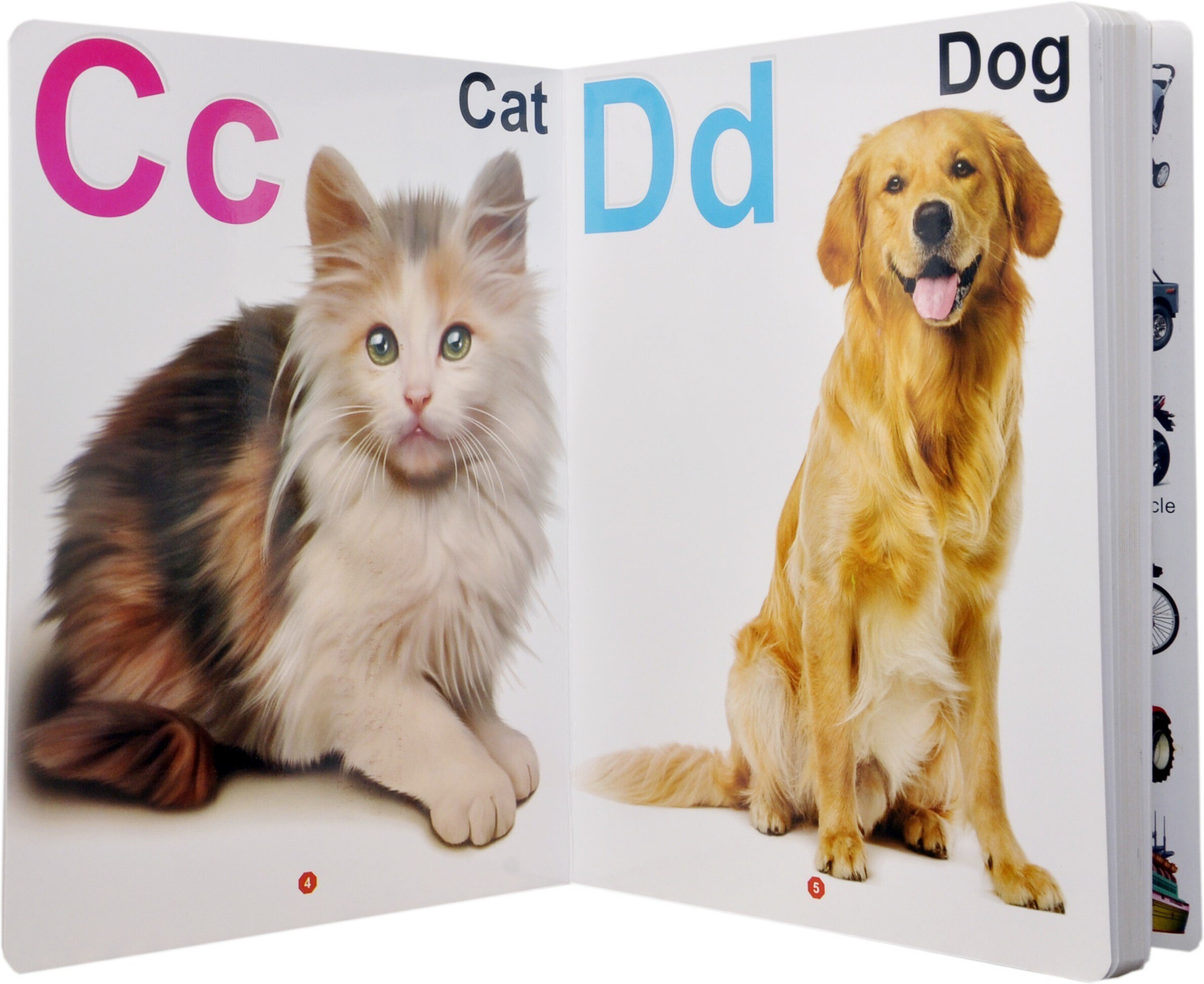 Image of GoodsNet My First Board Book Of Alphabet Single Picture Nursery Board Book Of Children
