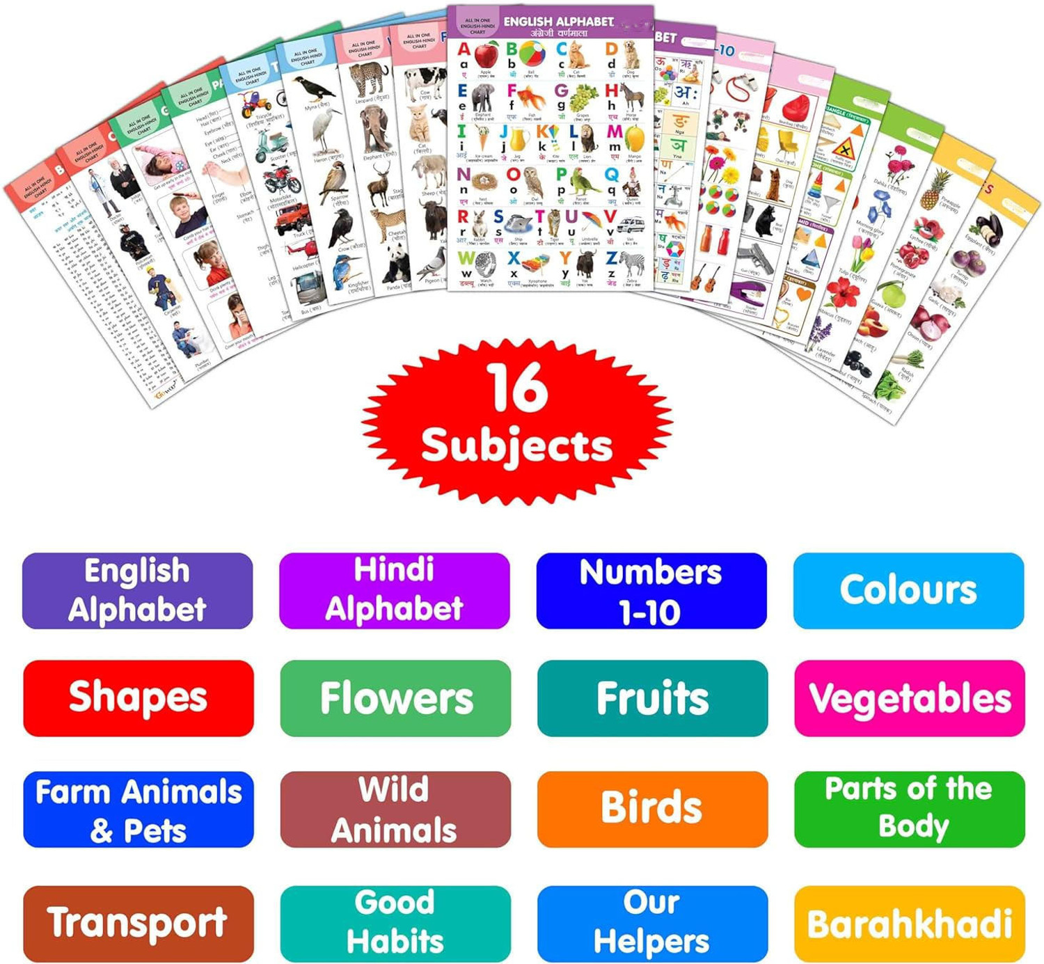 Image of GAMLOID Best Buy English Chart For Kids 36 x 50 cm - Children Spiral Wall Picture Chart (Multicolor)