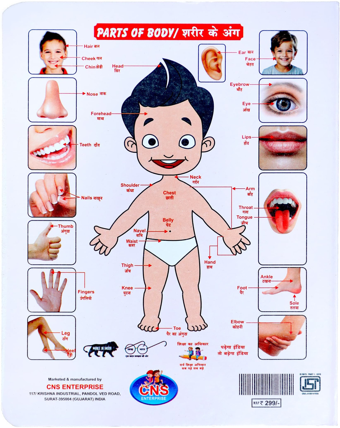 Image of ZEQTOS My First Jumbo All in one big Size Board Book (English + Hindi) (Multicolor)