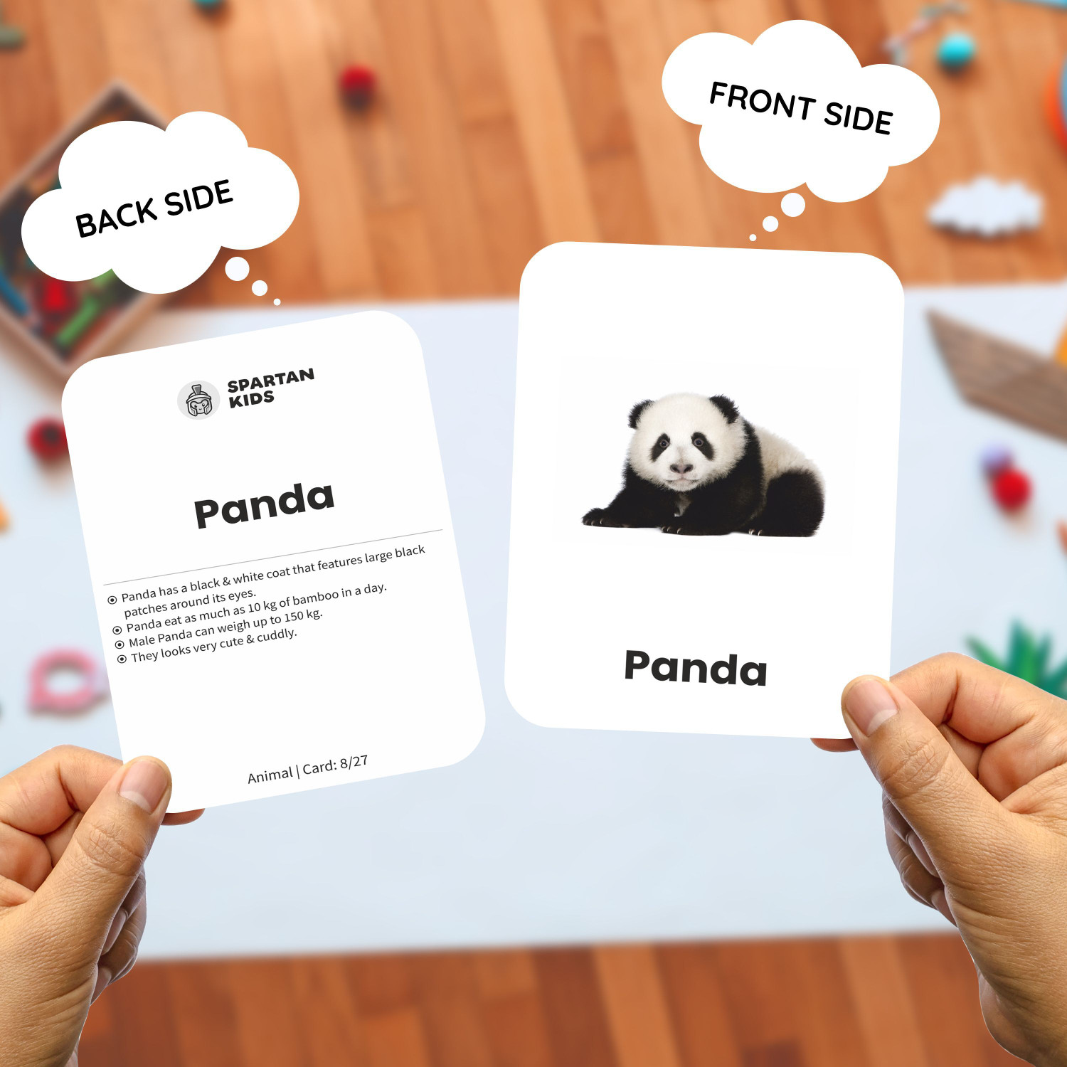 Image of spartan kids Animal Flash Cards for Kids | 27 Early Learning Flash Cards for Kids