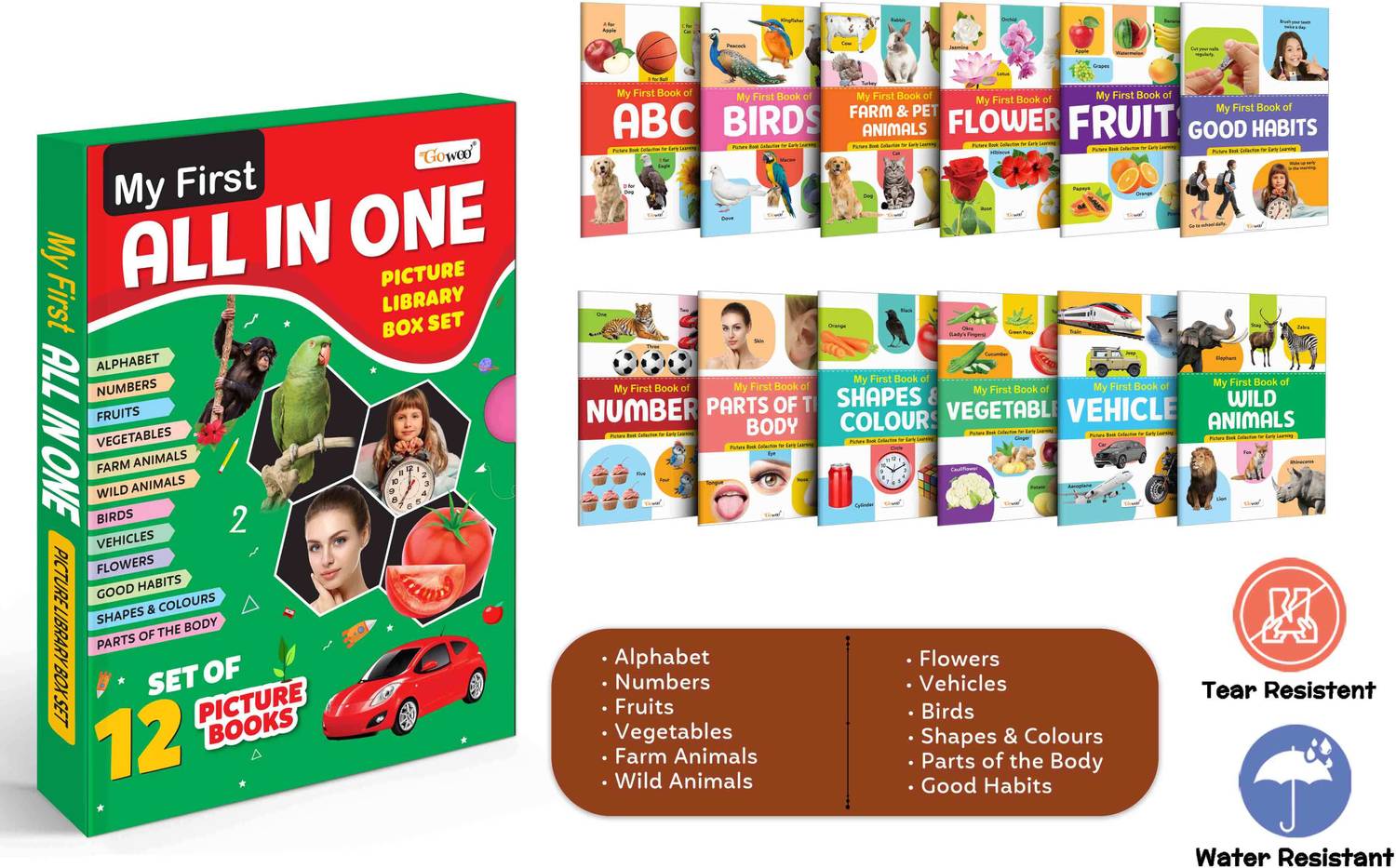 GO WOO Ukg Class My First All in One Picture Library Box Set of 12
