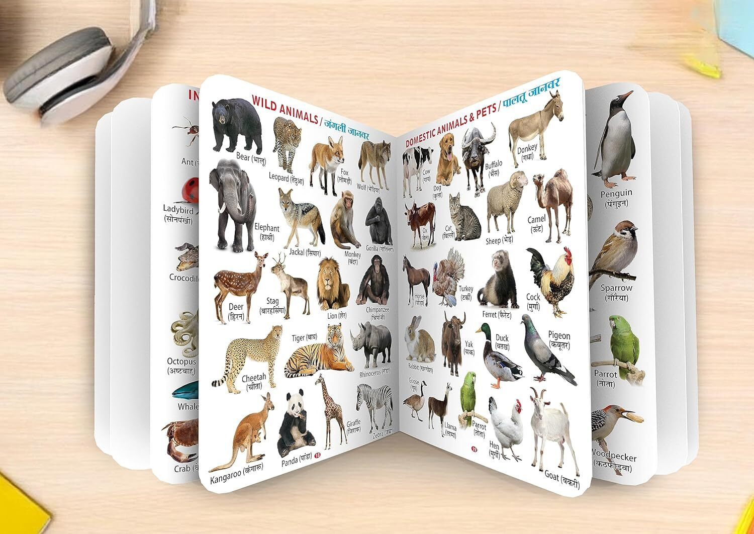 Image of ZEQTOS My First Jumbo All in one big Size Board Book (English + Hindi) (Multicolor)