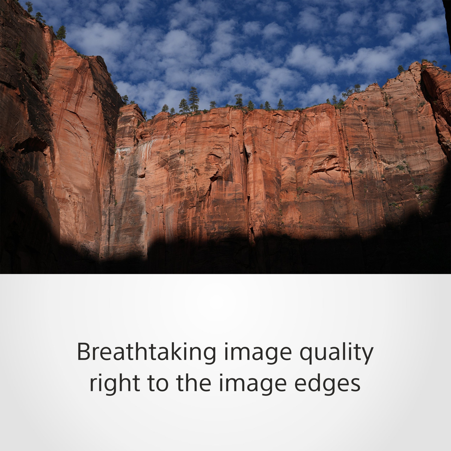 Image of SONY SEL50F14GM Standard Prime Lens