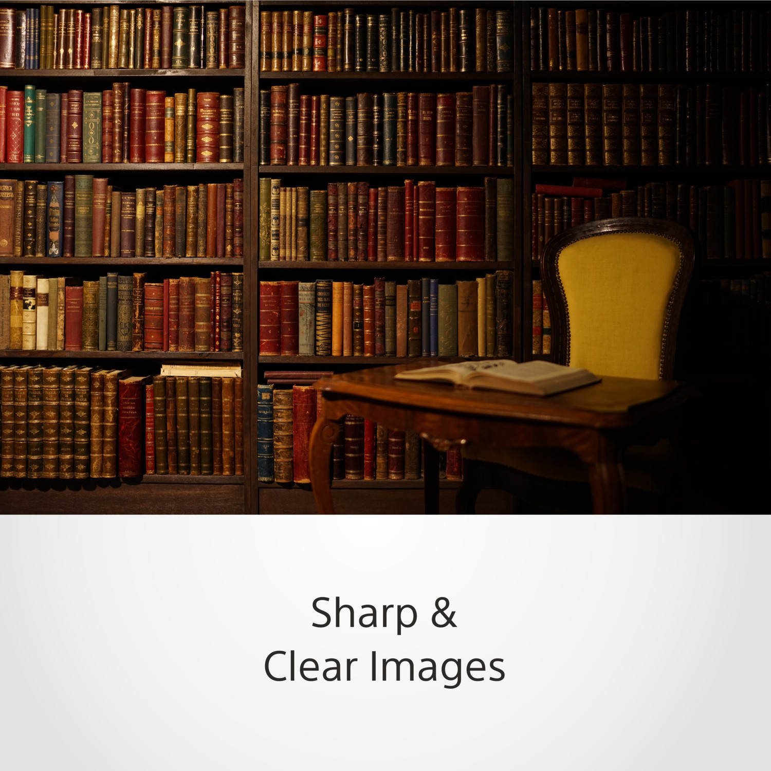 Image of SONY SEL35F14Z Standard Zoom Lens