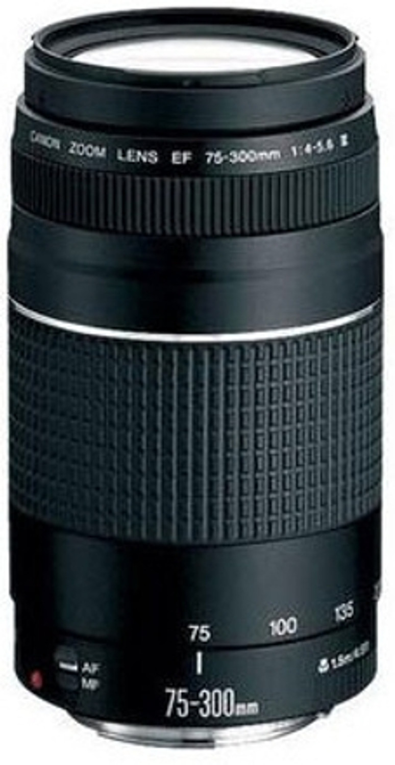 Image of Canon EF 75 - 300 mm f /4-5.6 III Telephoto Zoom Lens