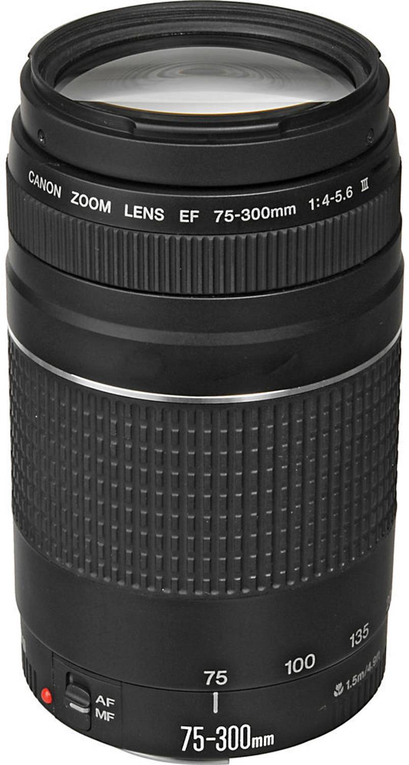 フード付き　Canon EF 75-300mm 1:4-5.6 Canon EF 75 - 300 mm f/4-5.6 III Telephoto Zoom Lens - Canon