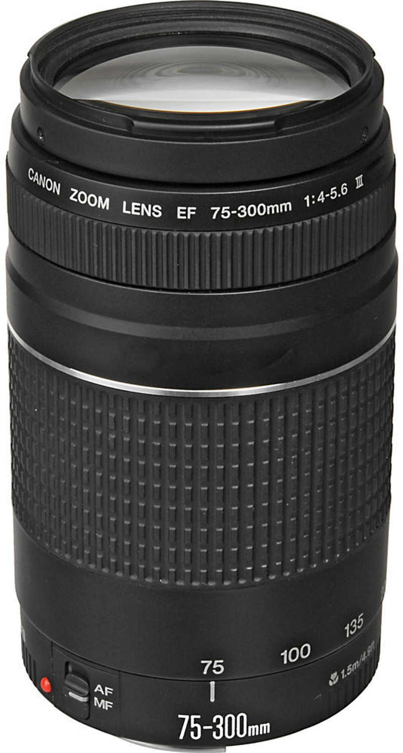 Image of Canon EF 75 - 300 mm f /4-5.6 III Telephoto Zoom Lens