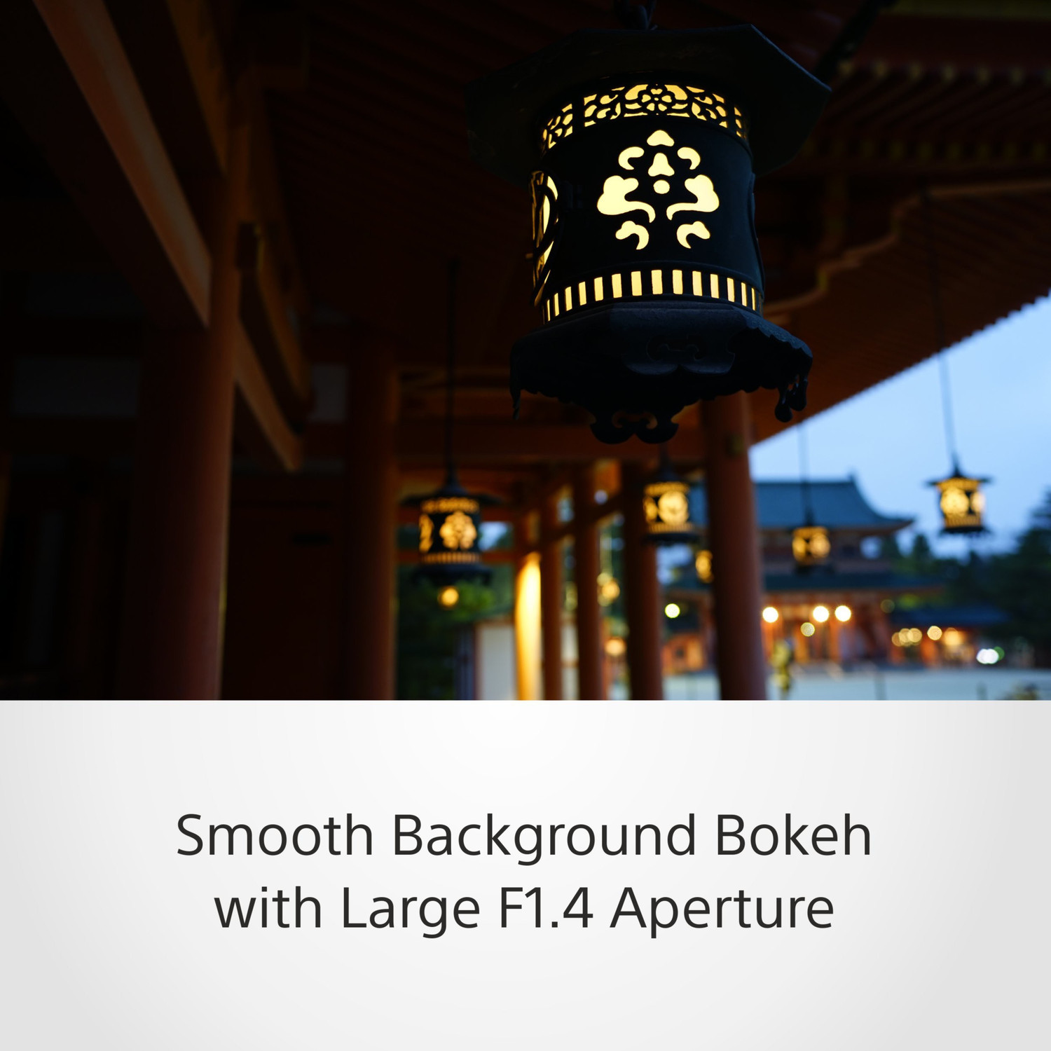 Image of SONY SEL35F14Z Standard Zoom Lens
