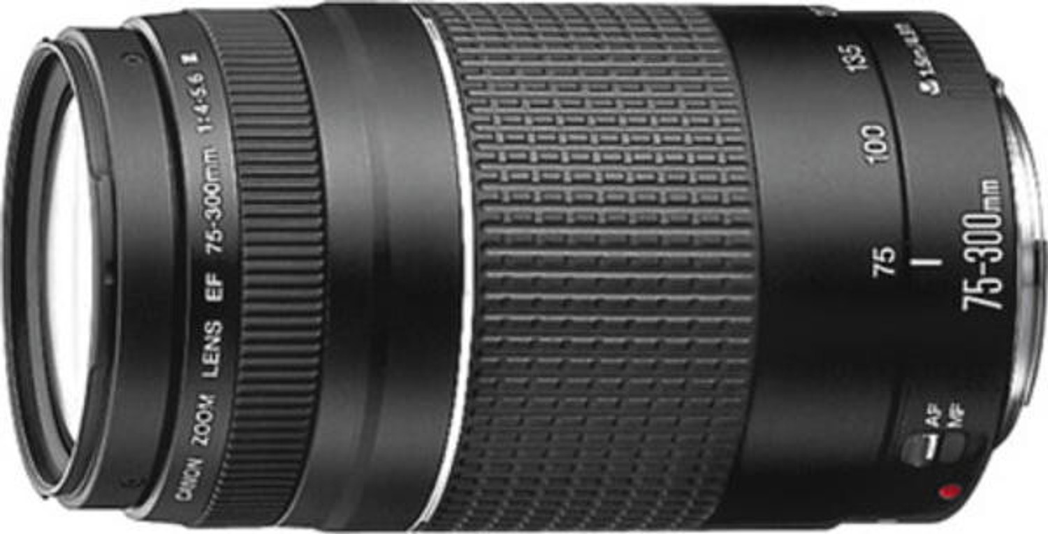 Image of Canon EF 75 - 300 mm f /4-5.6 III Telephoto Zoom Lens
