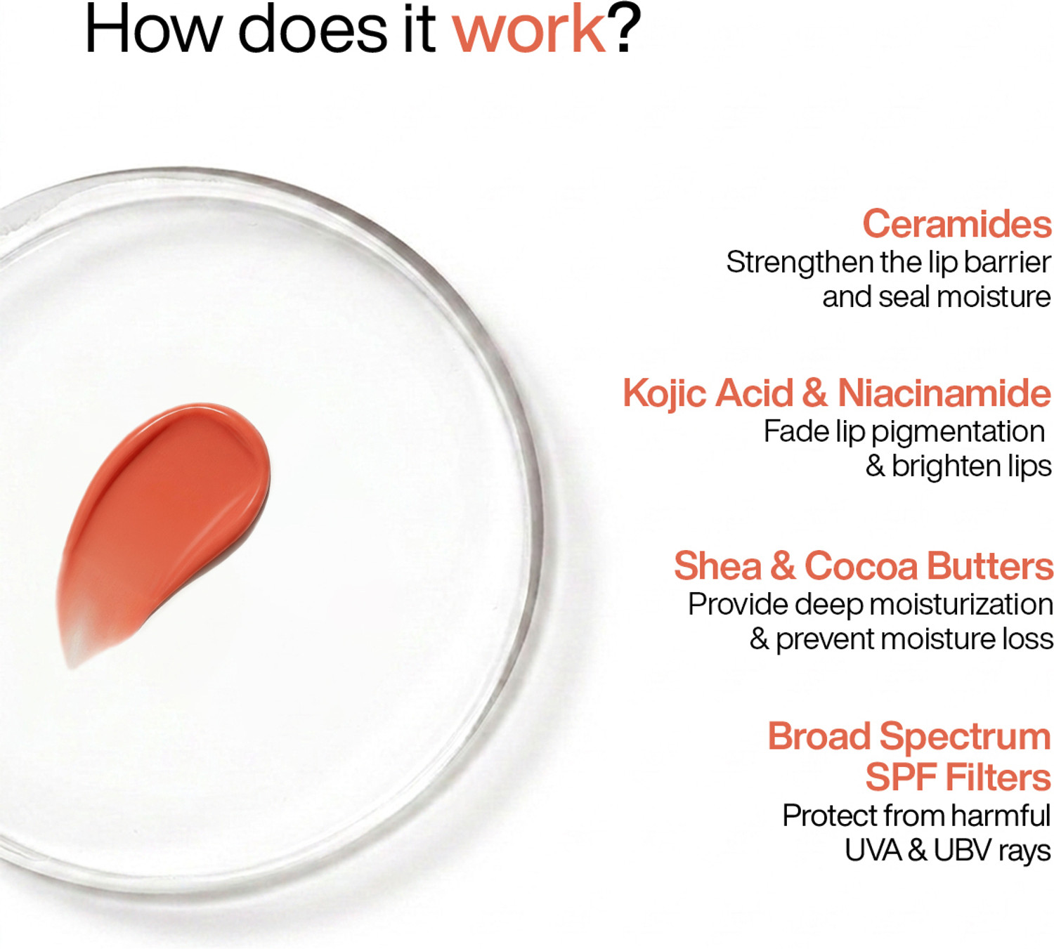 Image of WishCare Tinted Ceramide Lip Balm with SPF50 PA++++ Kojic Acid & Niacinamide Peach