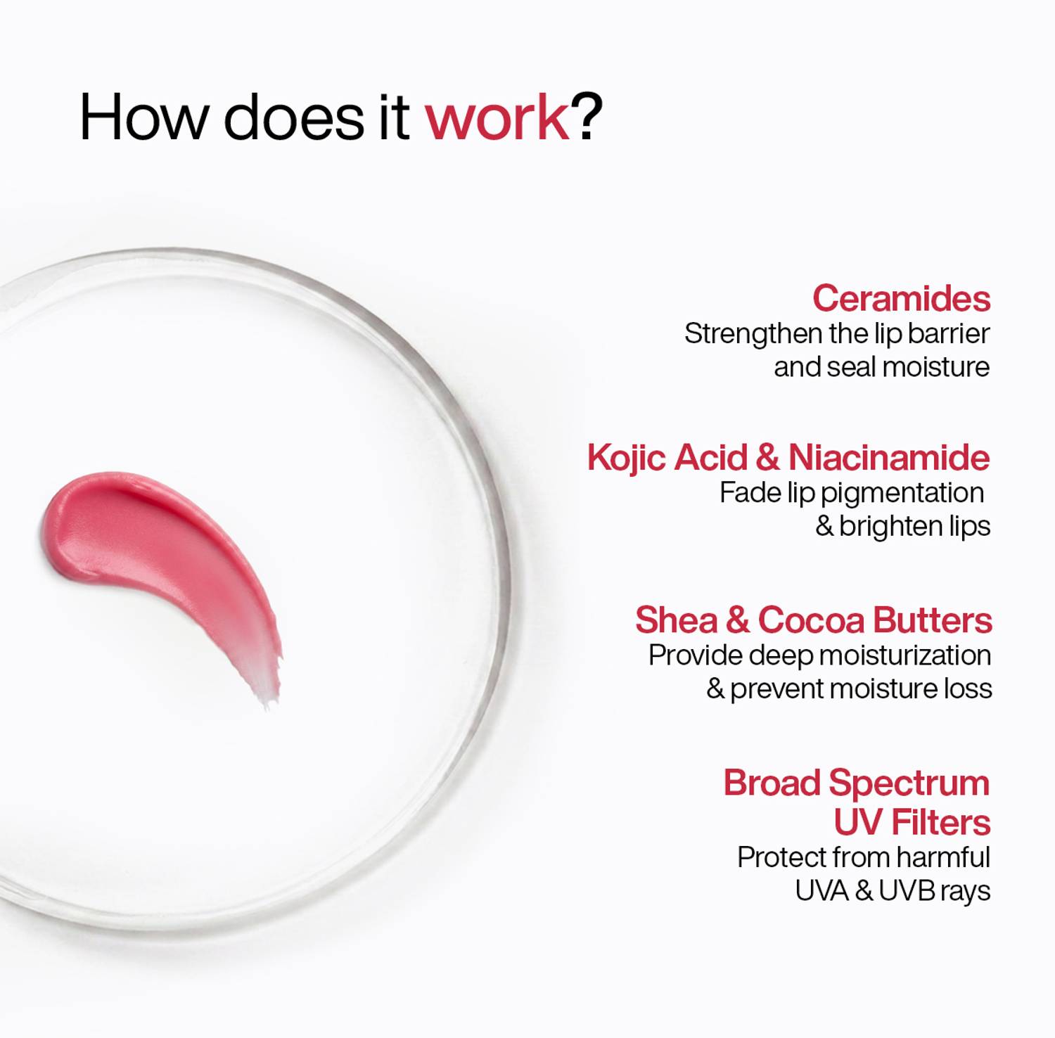 WishCare Tinted Lip Balm SPF50 PA+++ - Image 5