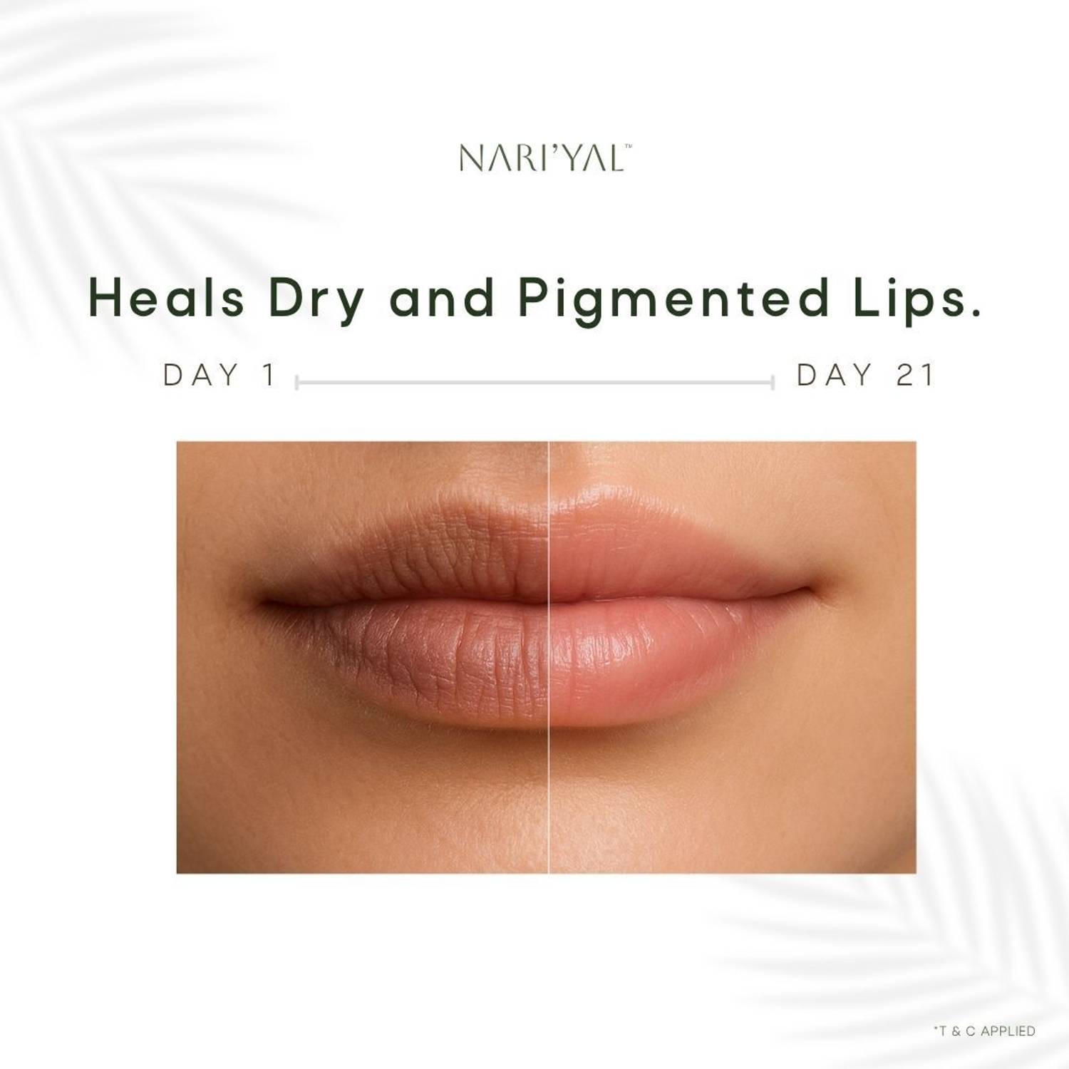 Nariyal Coco Lip Balm - Image 3