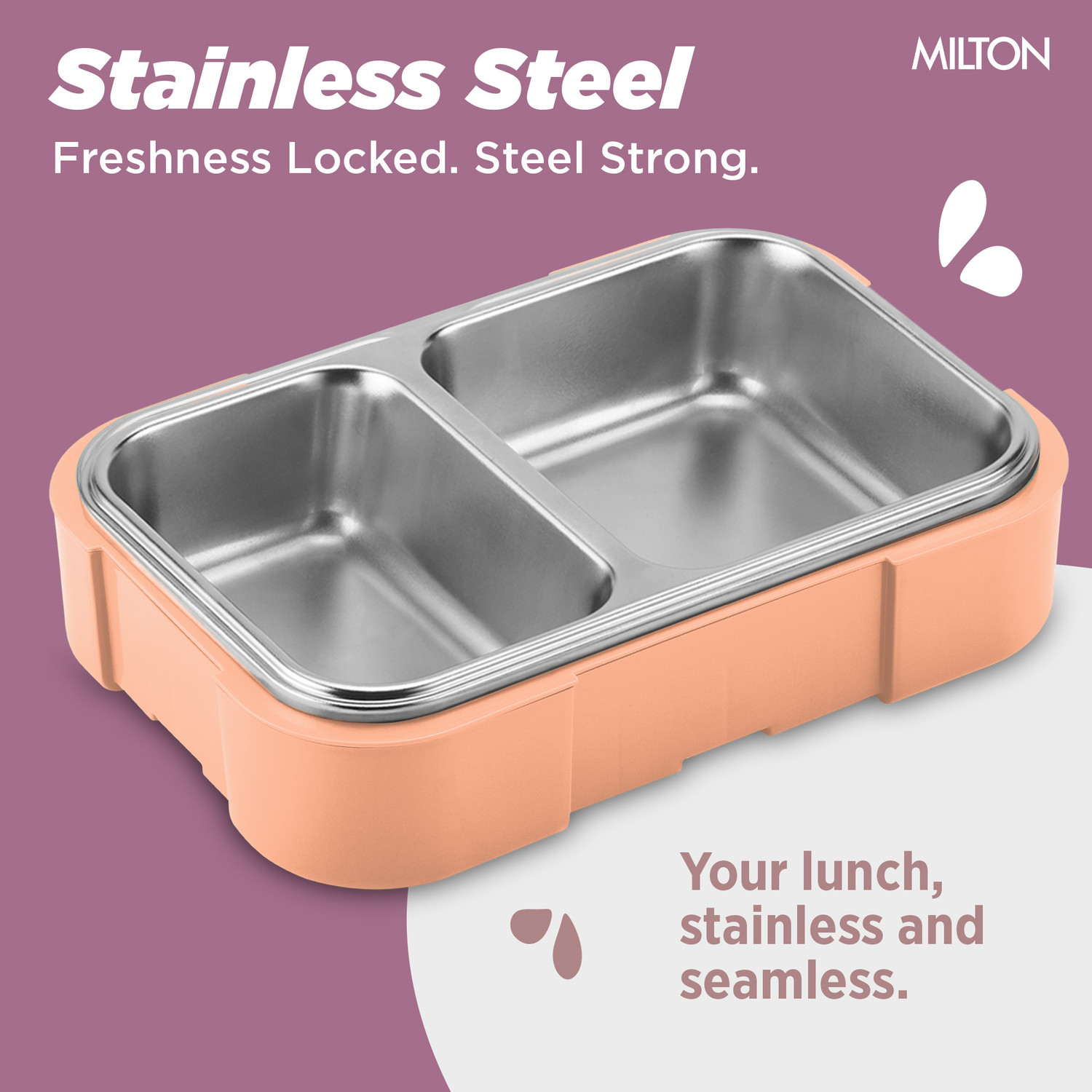 Image of MILTON Ethan 2 Inner Stainless Steel Tiffin Box, 2 Partition, Leak-Proof, 650 ml, Blue 2 Containers Stainless Steel School Lunch Box