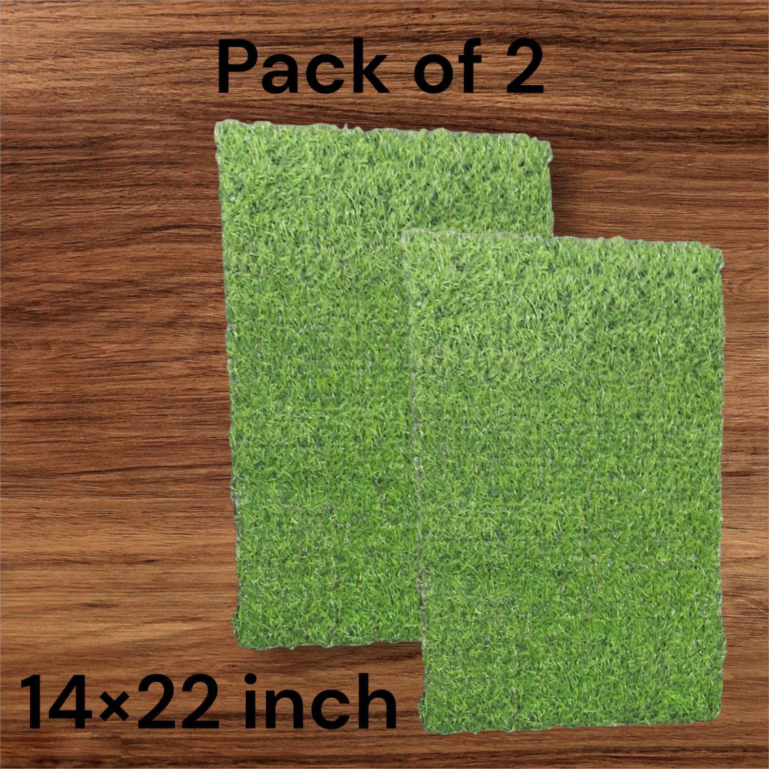 Bhola Enterprises Artificial Grass Door Mat