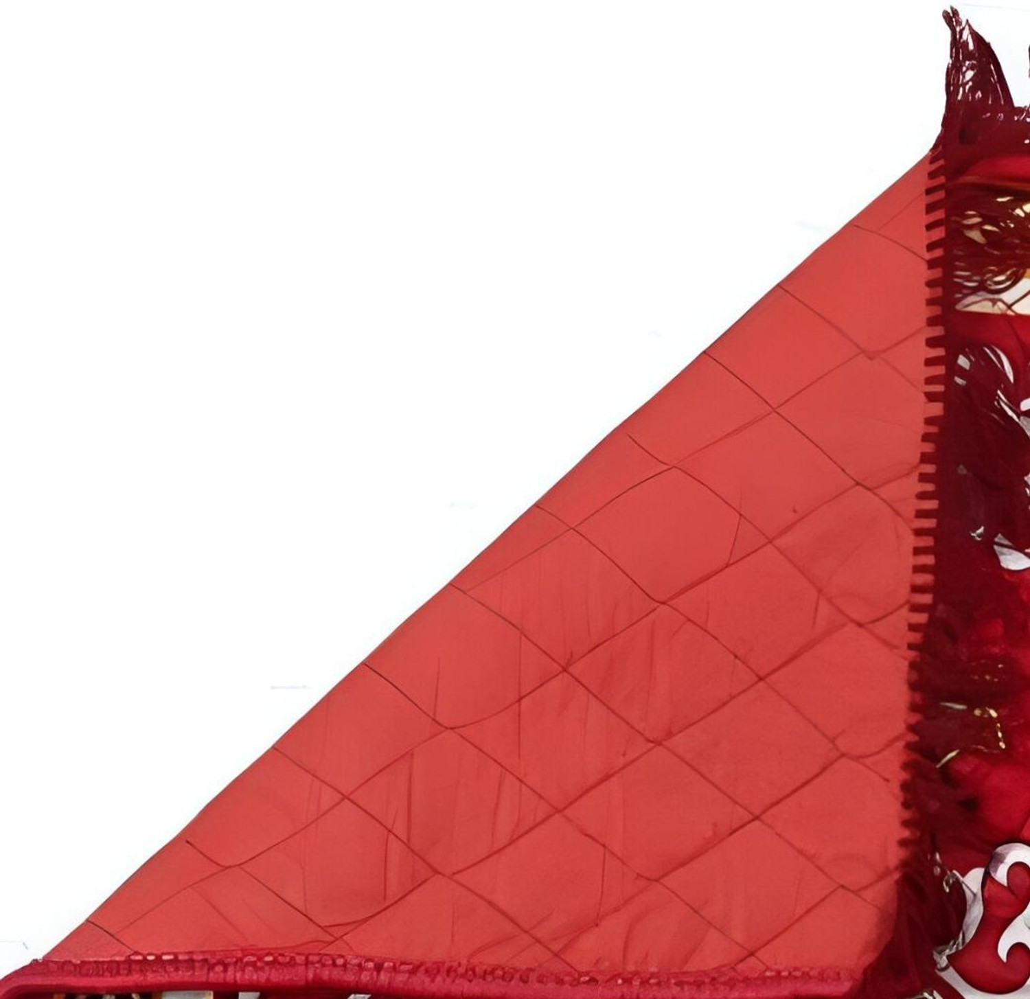 Image of Sanskriti Velvet Prayer Mat