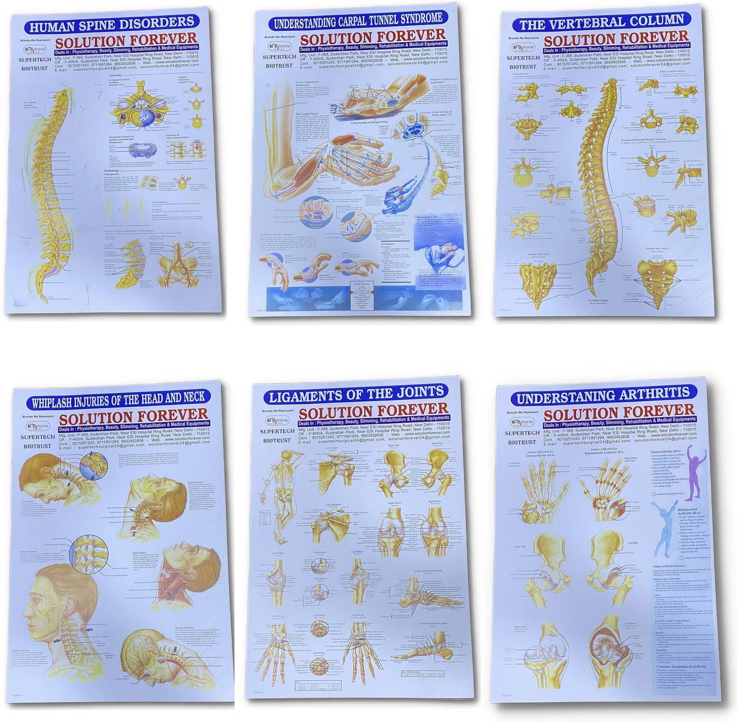 Biotronix Physiotherapy Clinic Chart Set Wall pasted 6 different wall pasted Medical Reacher & Grabber