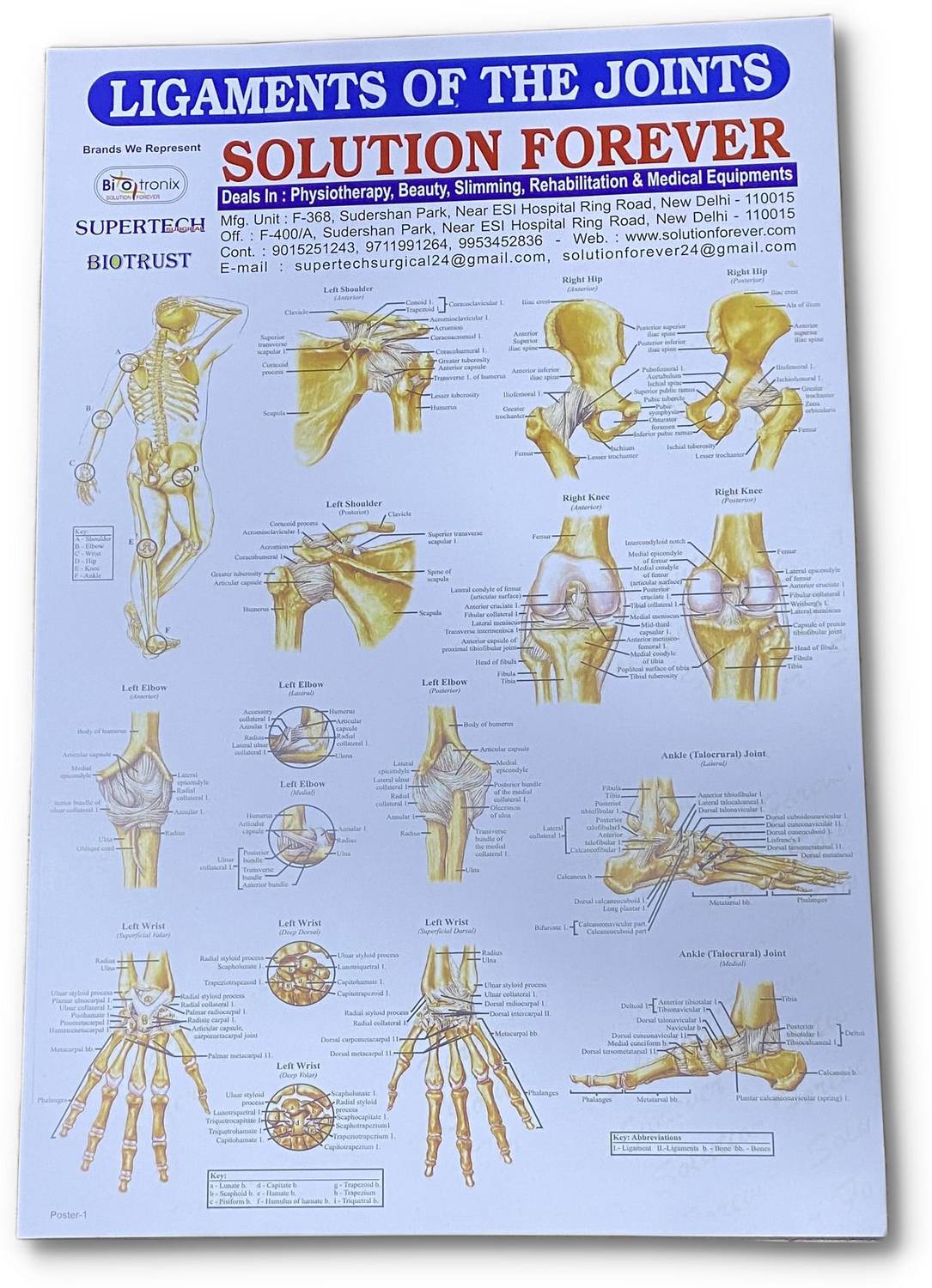 Biotronix Physiotherapy Clinic Chart Set Wall Pasted 6 different Charts Medical Reacher & Grabber