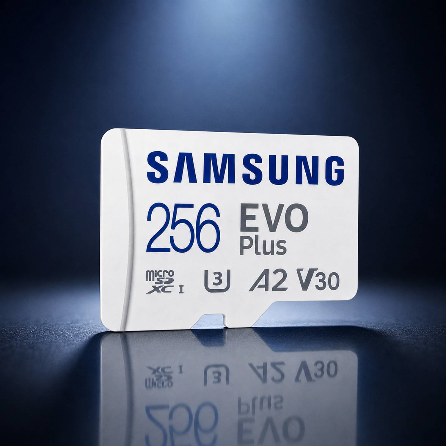 SAMSAM EVO Plus 256GB MicroSDXC Class 10 130 MB/s