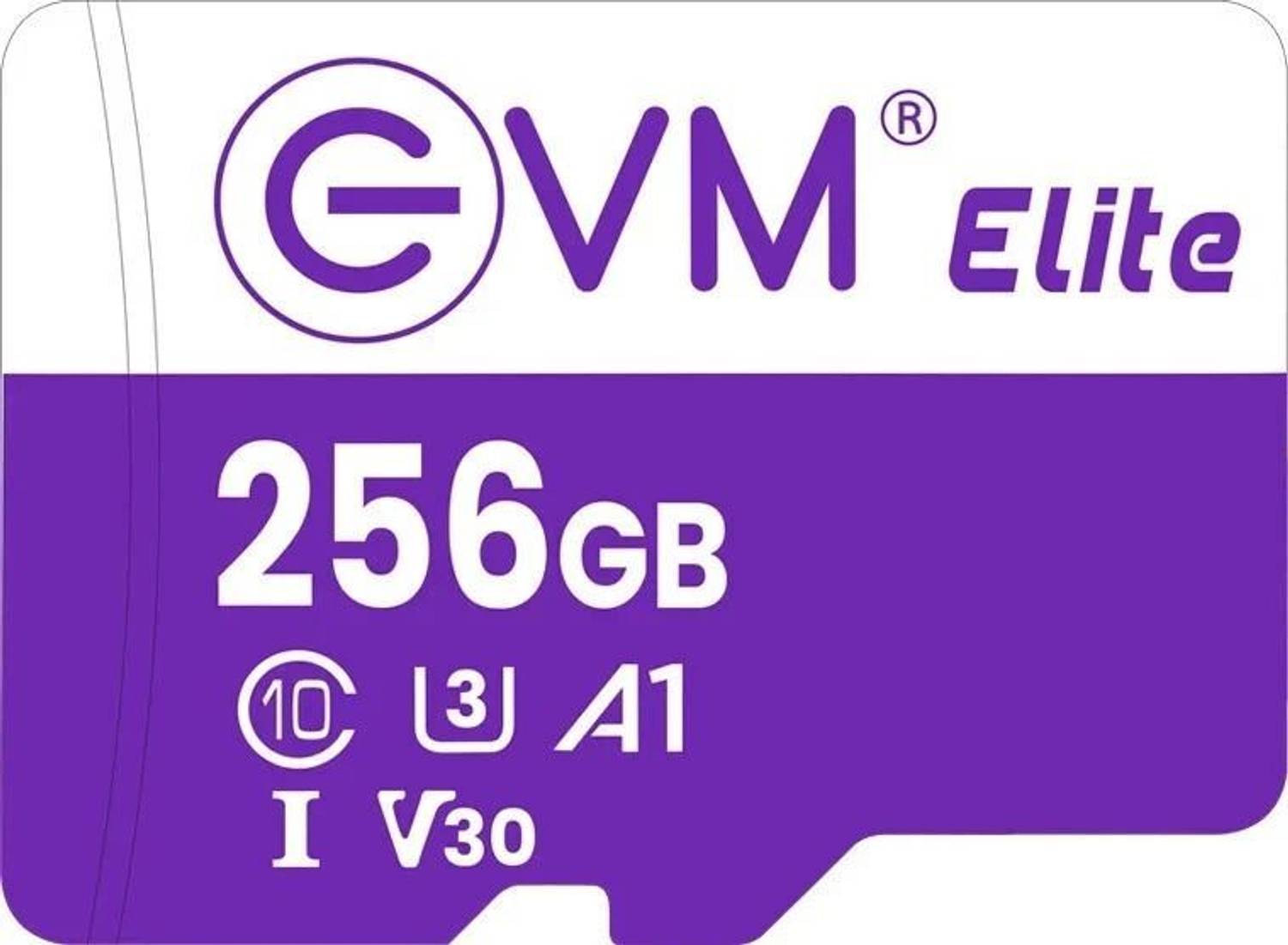 Evm Eetf 256gu3 U3 V30 256 Gb Microsdxc Class 10 100 Mb S price history chart and lowest price