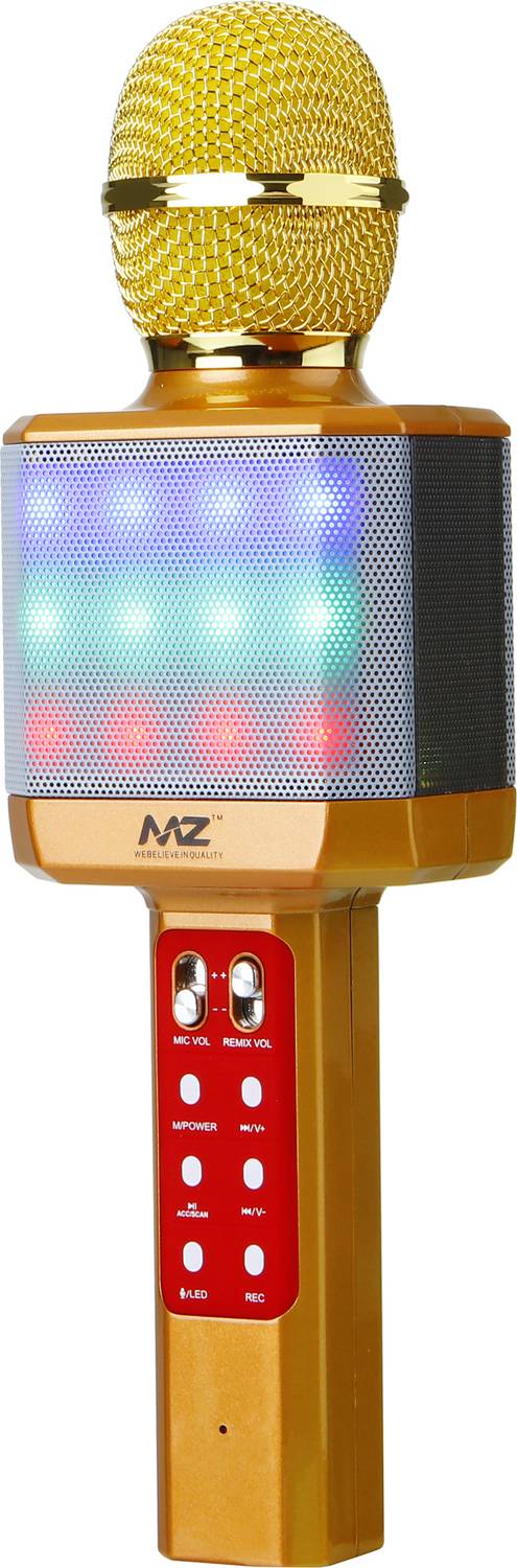 mic-13-karaoke-mic-with-