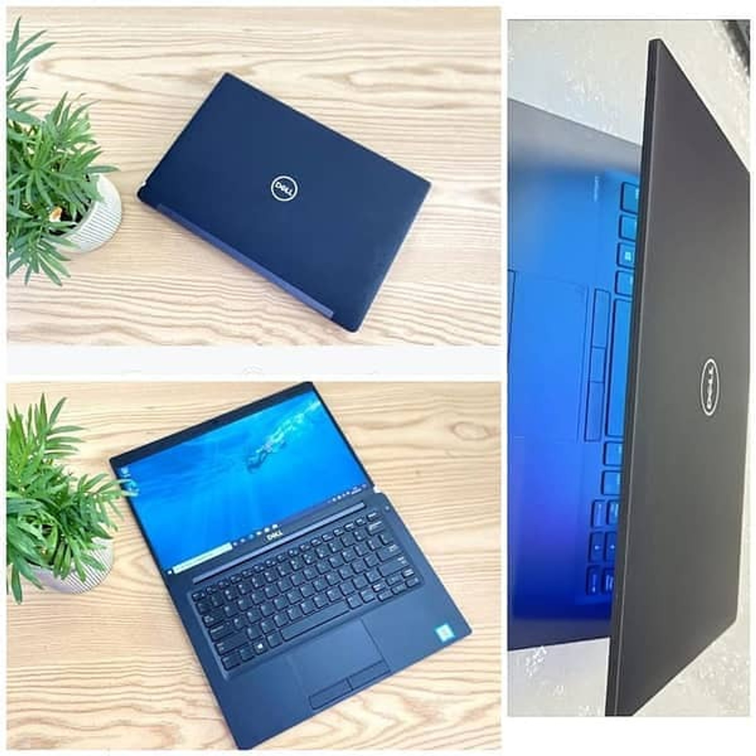 Image of DELL Latitude Refurbished 7480 Core i5 /6th 6600U Gen 14″ Win 11 - Windows 11 Pro, Intel Quad ( Core i5-6th Generation) Processor Type, 6500TE, 530 MB Graphics Card, 8 GB DDR-4 RAM | 2600 MHz, 256 GB SSD M.2. Mini PC