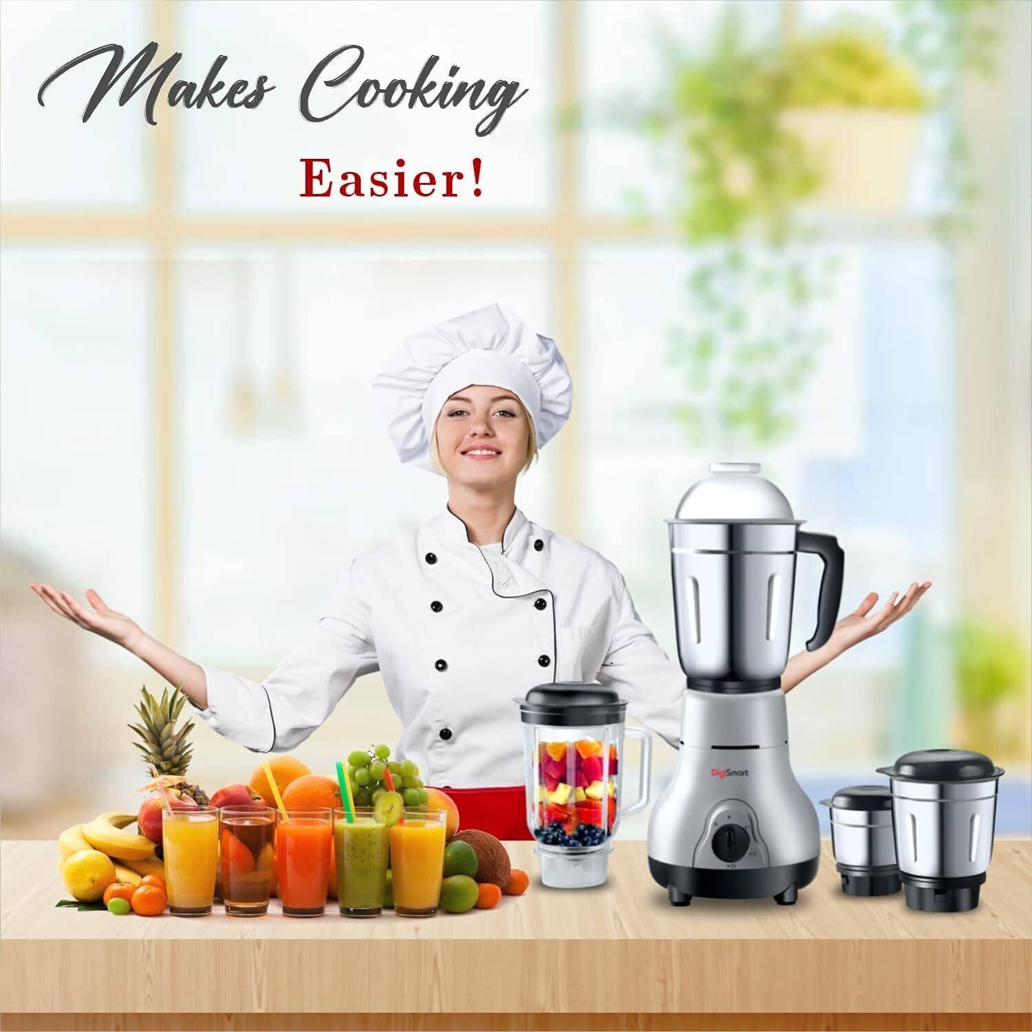 DIGISMART 4 Jars 750W Mixer Grinder - Image 2