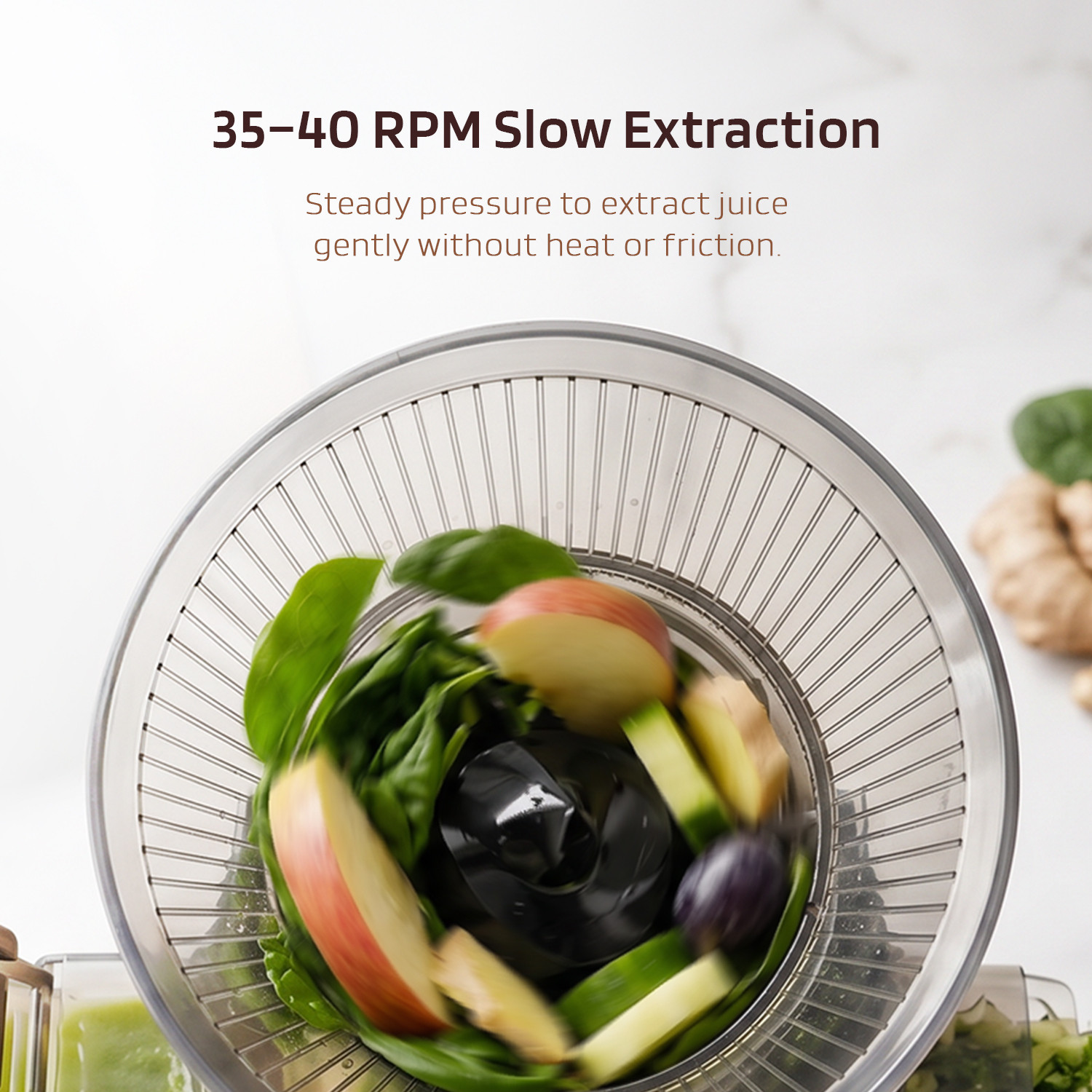 Image of NESTER Everyday Cold Press Juicer 300 W Juicer