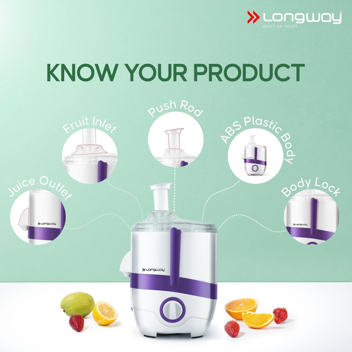 Longway Juicy 2J 600 W Juicer Mixer Grinder Price in India - Buy