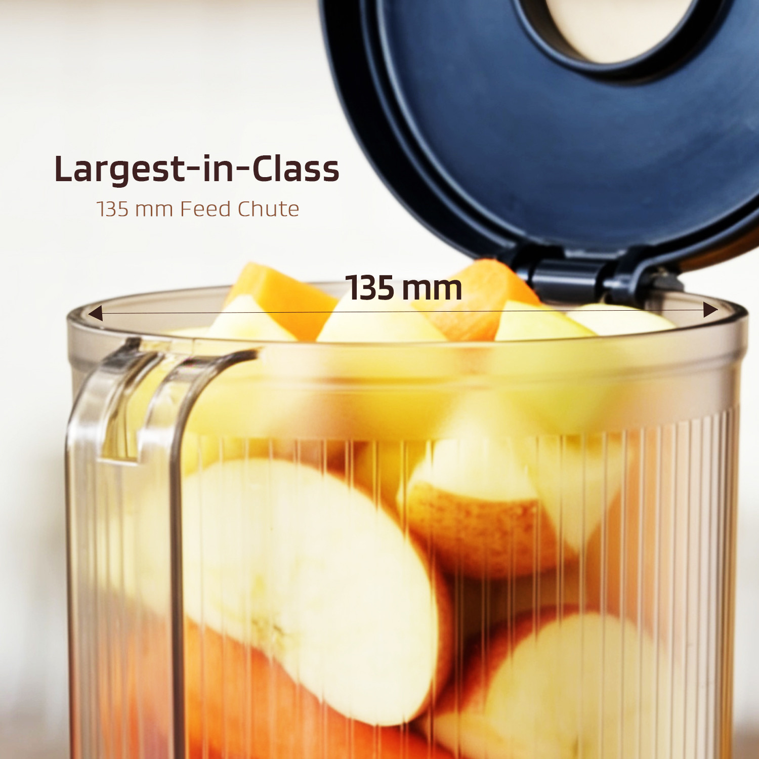 Image of NESTER Everyday Cold Press Juicer 300 W Juicer