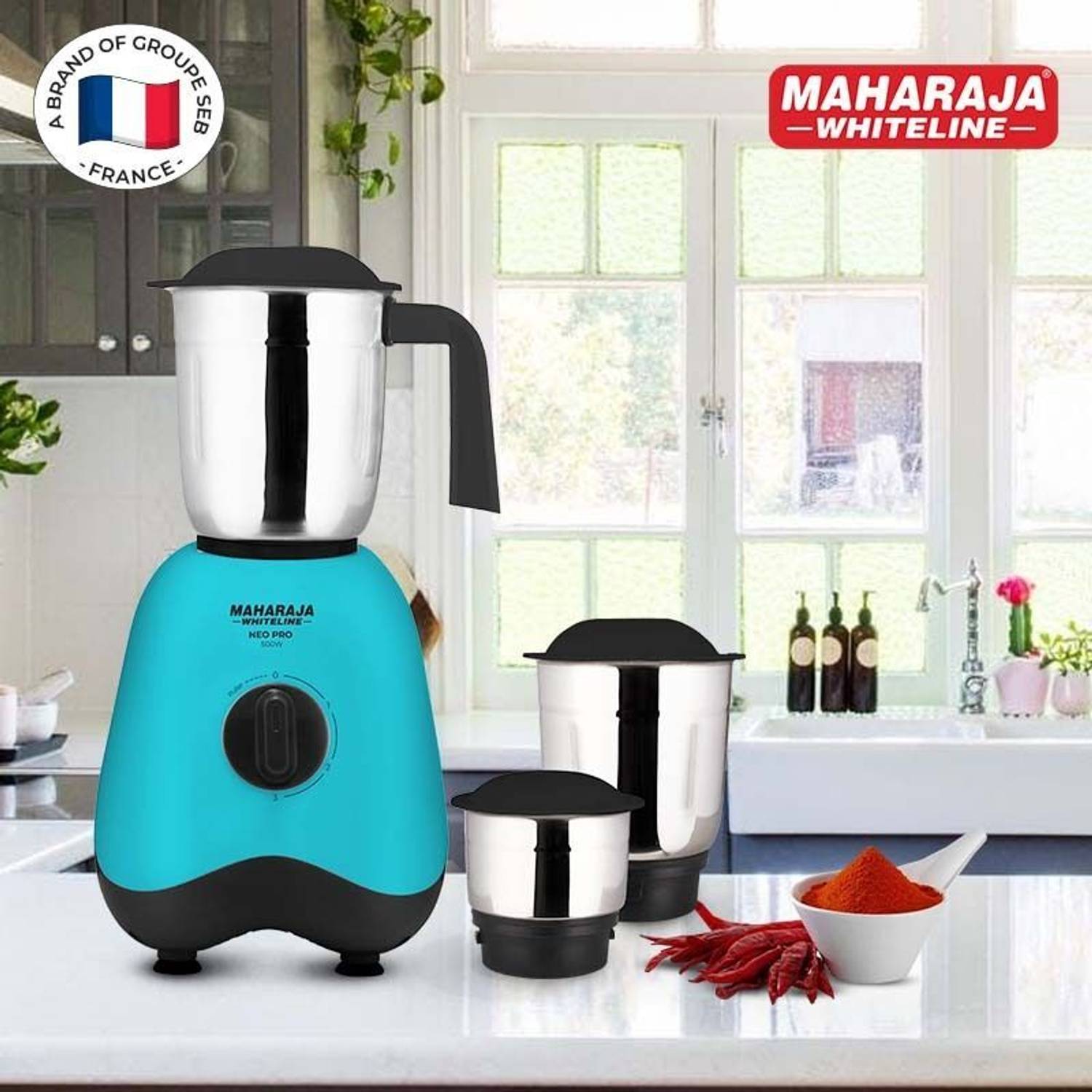MAHARAJA WHITELINE MX-261 500 W Mixer Grinder Price in India - Buy
