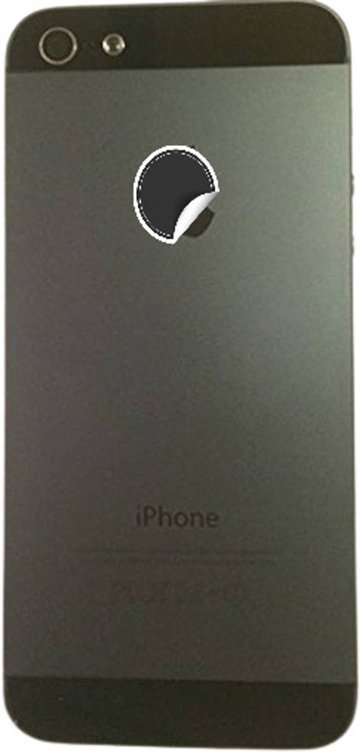 バラ。iPhone5台 back-5bkbbbp-sandreezz-