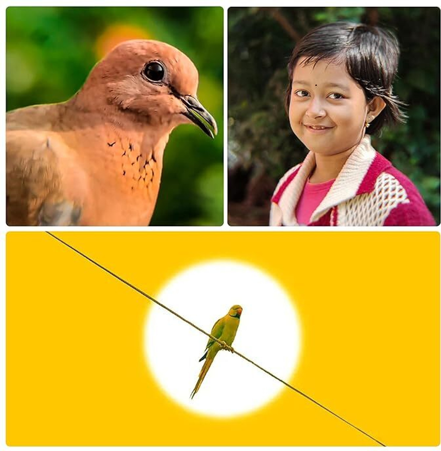Image of Viraan 12X Telephoto HD Universal Mobile Phone Lens Kit with Adjustable Clip Mobile Phone Lens