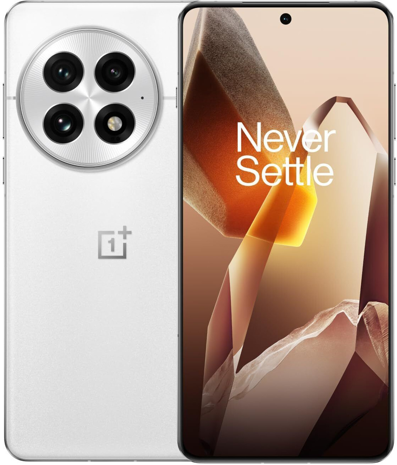 Image of OnePlus 13 (Arctic Dawn, 512 GB)