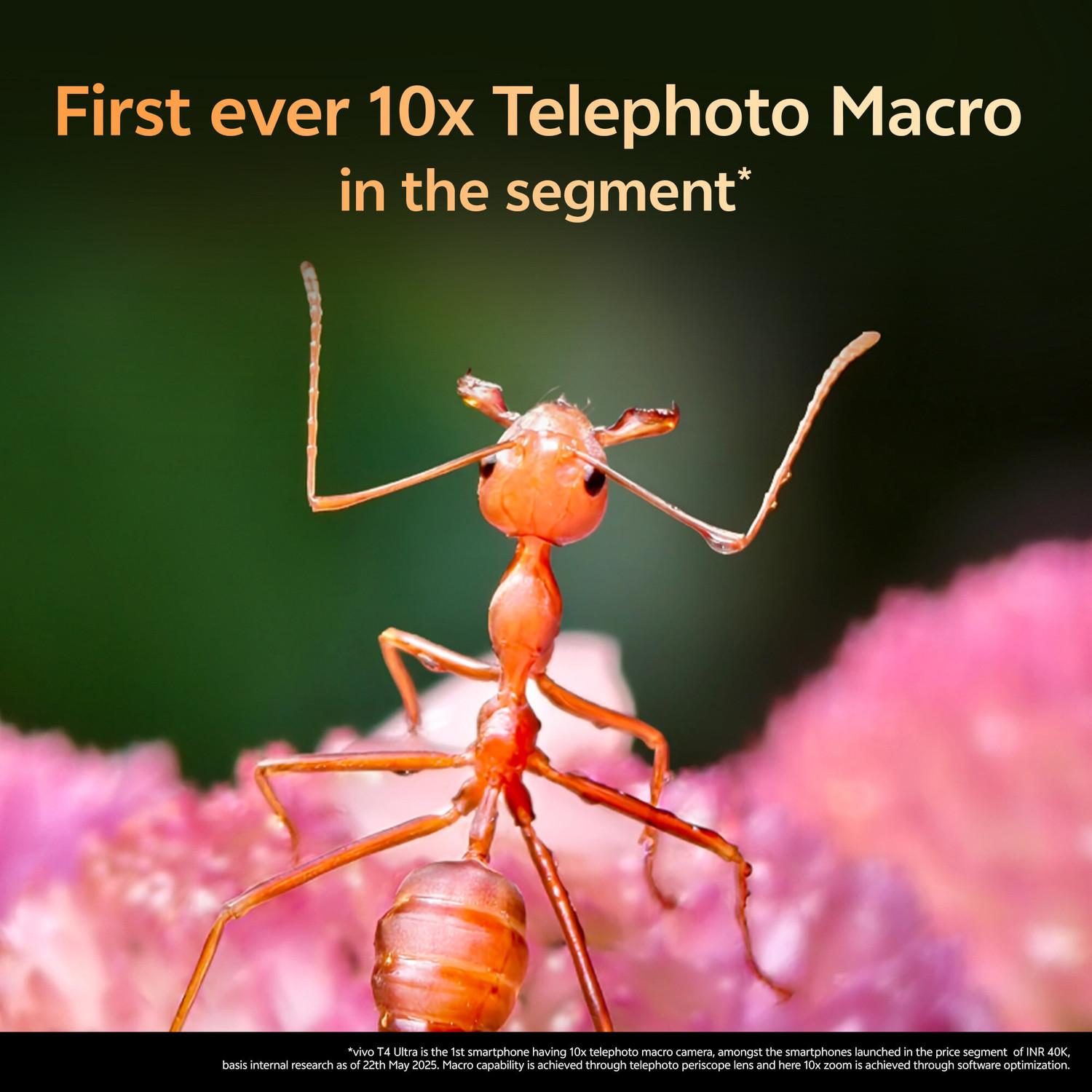 Image of vivo T4 Ultra 5G (Phoenix Gold, 256 GB)